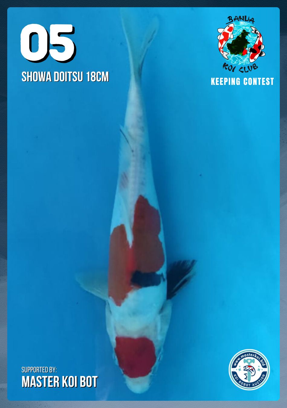 Lelang Koi Online, Jual Beli Ikan Koi, Pusat Jual Beli Koi, Info Lelang Koi Hari Ini, Platform Jual Beli Koi, Jual Beli Ikan Koi Online, Marketplace Ikan Koi, Jual Koi Terbaik, Tempat Beli Koi Berkualitas, Pasar Ikan Koi Online Terpercaya, Penjual Ikan Koi Terpercaya, Beli Koi Hias Online, Ikan Koi untuk Dijual, Koi Kualitas Terbaik, Toko Online Ikan Koi, Koi Hias Untuk Dijual, Jual Beli Ikan Koi Lokal, Koi Indonesia Online, Pusat Jual Beli Koi Terbesar