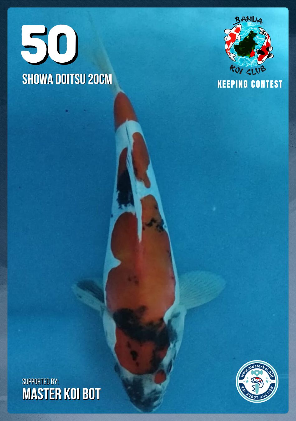 Lelang Koi Online, Jual Beli Ikan Koi, Pusat Jual Beli Koi, Info Lelang Koi Hari Ini, Platform Jual Beli Koi, Jual Beli Ikan Koi Online, Marketplace Ikan Koi, Jual Koi Terbaik, Tempat Beli Koi Berkualitas, Pasar Ikan Koi Online Terpercaya, Penjual Ikan Koi Terpercaya, Beli Koi Hias Online, Ikan Koi untuk Dijual, Koi Kualitas Terbaik, Toko Online Ikan Koi, Koi Hias Untuk Dijual, Jual Beli Ikan Koi Lokal, Koi Indonesia Online, Pusat Jual Beli Koi Terbesar