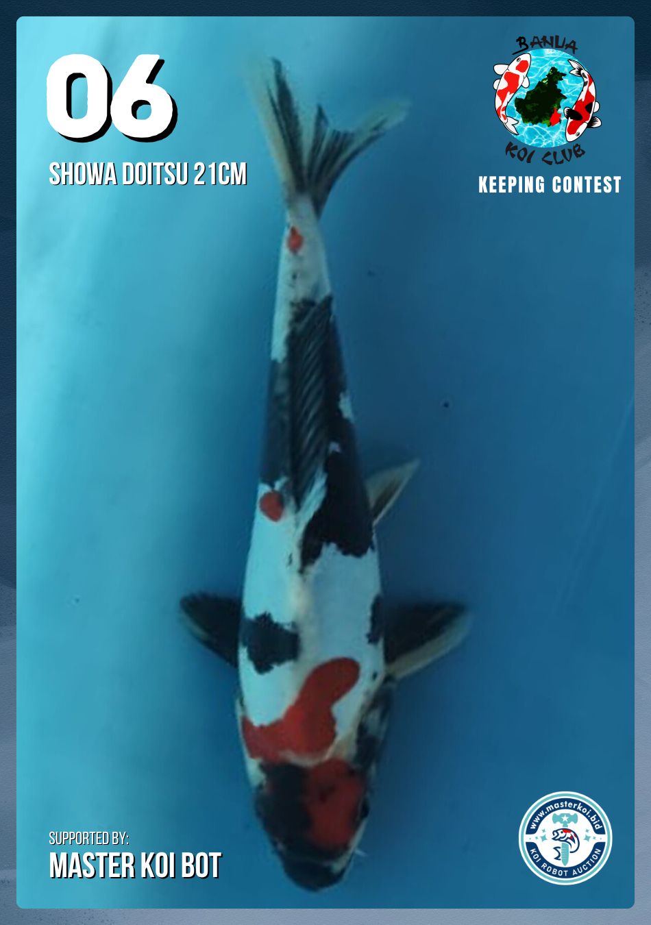 Lelang Koi Online, Jual Beli Ikan Koi, Pusat Jual Beli Koi, Info Lelang Koi Hari Ini, Platform Jual Beli Koi, Jual Beli Ikan Koi Online, Marketplace Ikan Koi, Jual Koi Terbaik, Tempat Beli Koi Berkualitas, Pasar Ikan Koi Online Terpercaya, Penjual Ikan Koi Terpercaya, Beli Koi Hias Online, Ikan Koi untuk Dijual, Koi Kualitas Terbaik, Toko Online Ikan Koi, Koi Hias Untuk Dijual, Jual Beli Ikan Koi Lokal, Koi Indonesia Online, Pusat Jual Beli Koi Terbesar