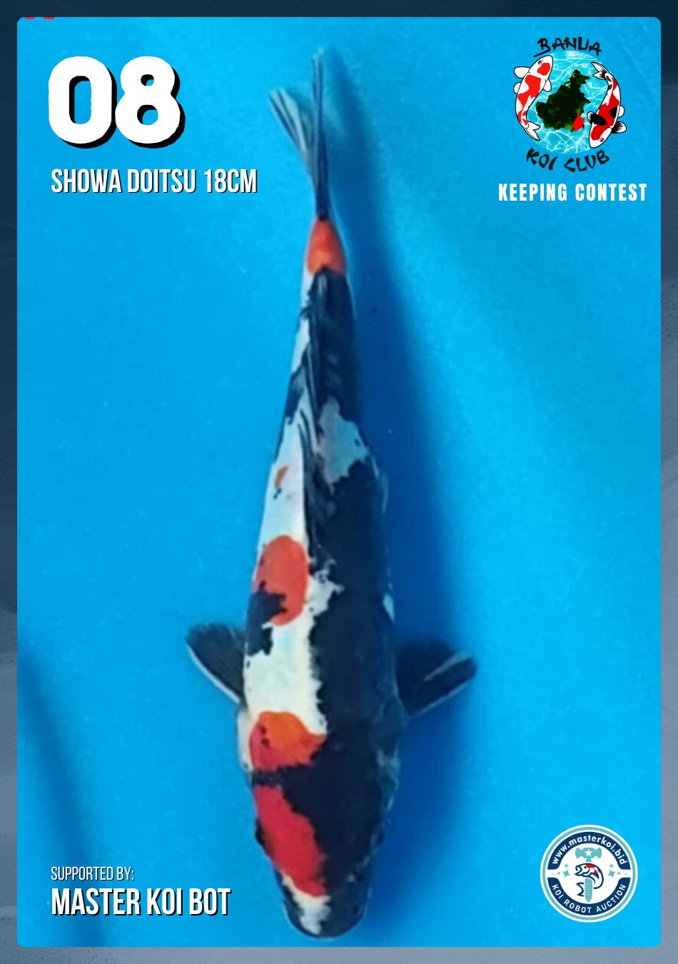 Lelang Koi Online, Jual Beli Ikan Koi, Pusat Jual Beli Koi, Info Lelang Koi Hari Ini, Platform Jual Beli Koi, Jual Beli Ikan Koi Online, Marketplace Ikan Koi, Jual Koi Terbaik, Tempat Beli Koi Berkualitas, Pasar Ikan Koi Online Terpercaya, Penjual Ikan Koi Terpercaya, Beli Koi Hias Online, Ikan Koi untuk Dijual, Koi Kualitas Terbaik, Toko Online Ikan Koi, Koi Hias Untuk Dijual, Jual Beli Ikan Koi Lokal, Koi Indonesia Online, Pusat Jual Beli Koi Terbesar