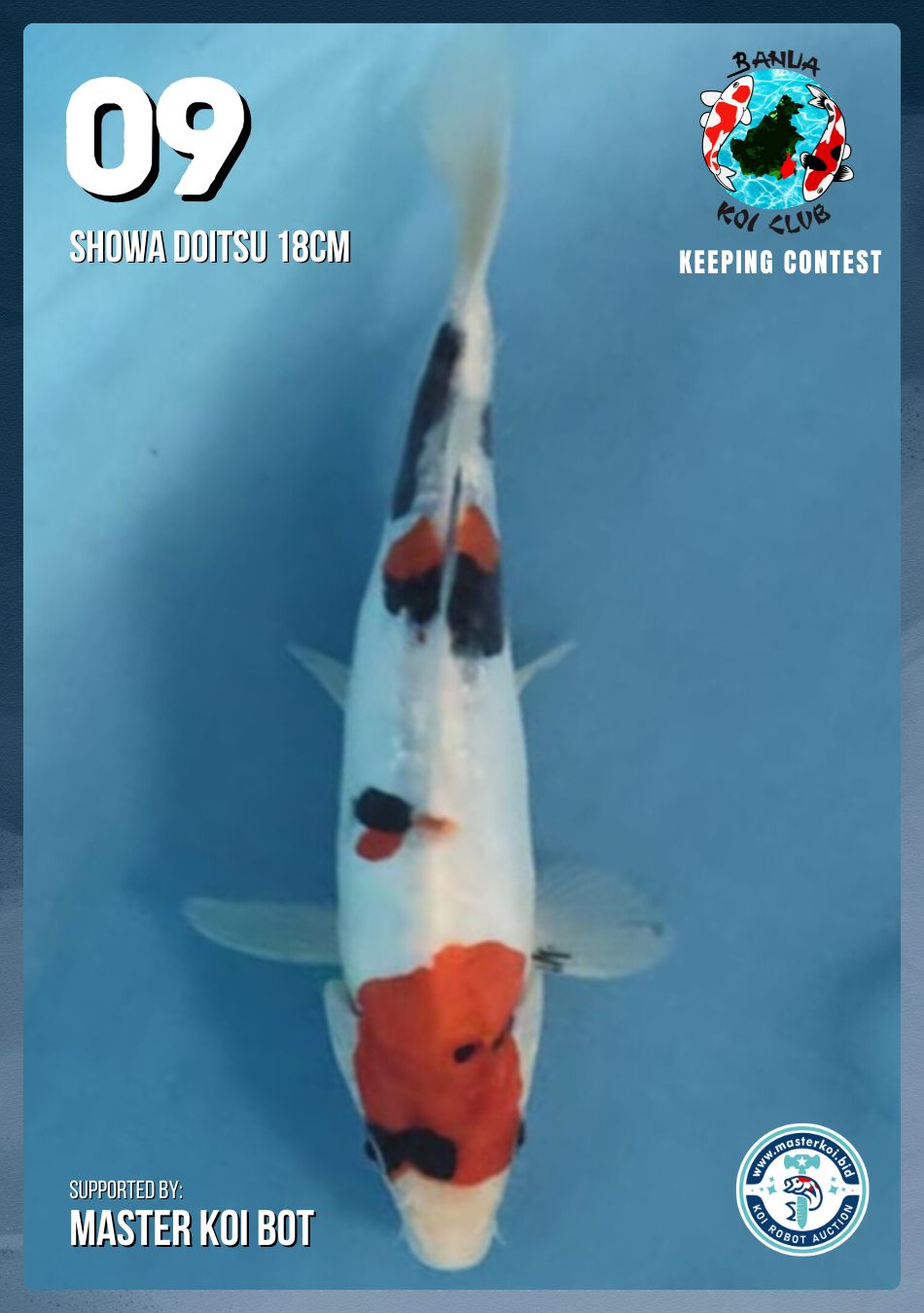 Lelang Koi Online, Jual Beli Ikan Koi, Pusat Jual Beli Koi, Info Lelang Koi Hari Ini, Platform Jual Beli Koi, Jual Beli Ikan Koi Online, Marketplace Ikan Koi, Jual Koi Terbaik, Tempat Beli Koi Berkualitas, Pasar Ikan Koi Online Terpercaya, Penjual Ikan Koi Terpercaya, Beli Koi Hias Online, Ikan Koi untuk Dijual, Koi Kualitas Terbaik, Toko Online Ikan Koi, Koi Hias Untuk Dijual, Jual Beli Ikan Koi Lokal, Koi Indonesia Online, Pusat Jual Beli Koi Terbesar