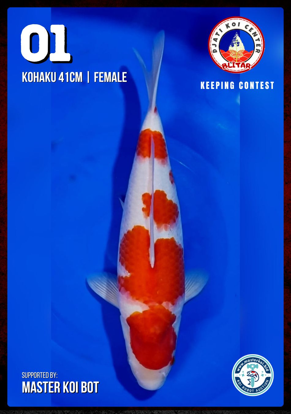 Lelang Koi Online, Jual Beli Ikan Koi, Pusat Jual Beli Koi, Info Lelang Koi Hari Ini, Platform Jual Beli Koi, Jual Beli Ikan Koi Online, Marketplace Ikan Koi, Jual Koi Terbaik, Tempat Beli Koi Berkualitas, Pasar Ikan Koi Online Terpercaya, Penjual Ikan Koi Terpercaya, Beli Koi Hias Online, Ikan Koi untuk Dijual, Koi Kualitas Terbaik, Toko Online Ikan Koi, Koi Hias Untuk Dijual, Jual Beli Ikan Koi Lokal, Koi Indonesia Online, Pusat Jual Beli Koi Terbesar