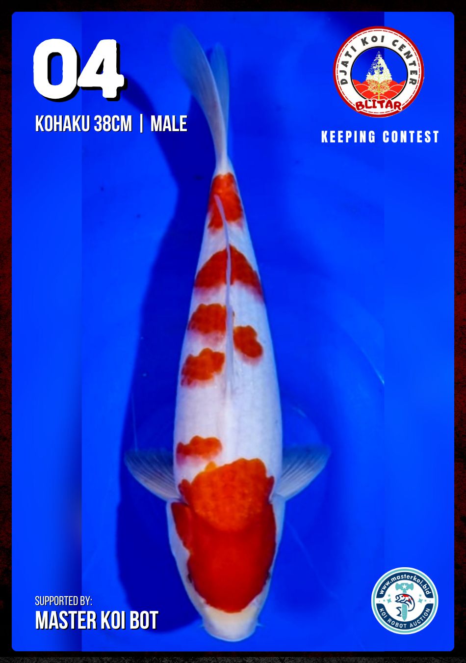 Lelang Koi Online, Jual Beli Ikan Koi, Pusat Jual Beli Koi, Info Lelang Koi Hari Ini, Platform Jual Beli Koi, Jual Beli Ikan Koi Online, Marketplace Ikan Koi, Jual Koi Terbaik, Tempat Beli Koi Berkualitas, Pasar Ikan Koi Online Terpercaya, Penjual Ikan Koi Terpercaya, Beli Koi Hias Online, Ikan Koi untuk Dijual, Koi Kualitas Terbaik, Toko Online Ikan Koi, Koi Hias Untuk Dijual, Jual Beli Ikan Koi Lokal, Koi Indonesia Online, Pusat Jual Beli Koi Terbesar