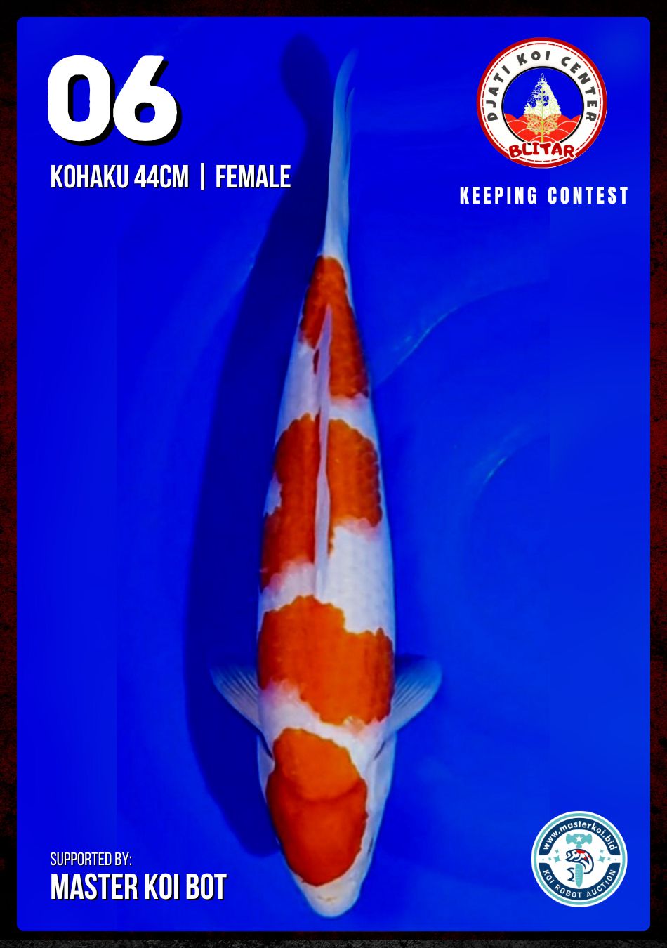 Lelang Koi Online, Jual Beli Ikan Koi, Pusat Jual Beli Koi, Info Lelang Koi Hari Ini, Platform Jual Beli Koi, Jual Beli Ikan Koi Online, Marketplace Ikan Koi, Jual Koi Terbaik, Tempat Beli Koi Berkualitas, Pasar Ikan Koi Online Terpercaya, Penjual Ikan Koi Terpercaya, Beli Koi Hias Online, Ikan Koi untuk Dijual, Koi Kualitas Terbaik, Toko Online Ikan Koi, Koi Hias Untuk Dijual, Jual Beli Ikan Koi Lokal, Koi Indonesia Online, Pusat Jual Beli Koi Terbesar