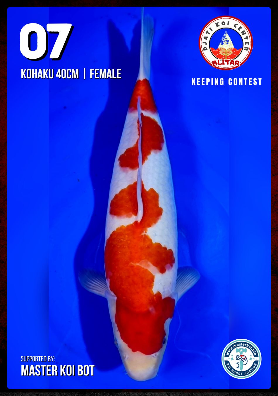 Lelang Koi Online, Jual Beli Ikan Koi, Pusat Jual Beli Koi, Info Lelang Koi Hari Ini, Platform Jual Beli Koi, Jual Beli Ikan Koi Online, Marketplace Ikan Koi, Jual Koi Terbaik, Tempat Beli Koi Berkualitas, Pasar Ikan Koi Online Terpercaya, Penjual Ikan Koi Terpercaya, Beli Koi Hias Online, Ikan Koi untuk Dijual, Koi Kualitas Terbaik, Toko Online Ikan Koi, Koi Hias Untuk Dijual, Jual Beli Ikan Koi Lokal, Koi Indonesia Online, Pusat Jual Beli Koi Terbesar