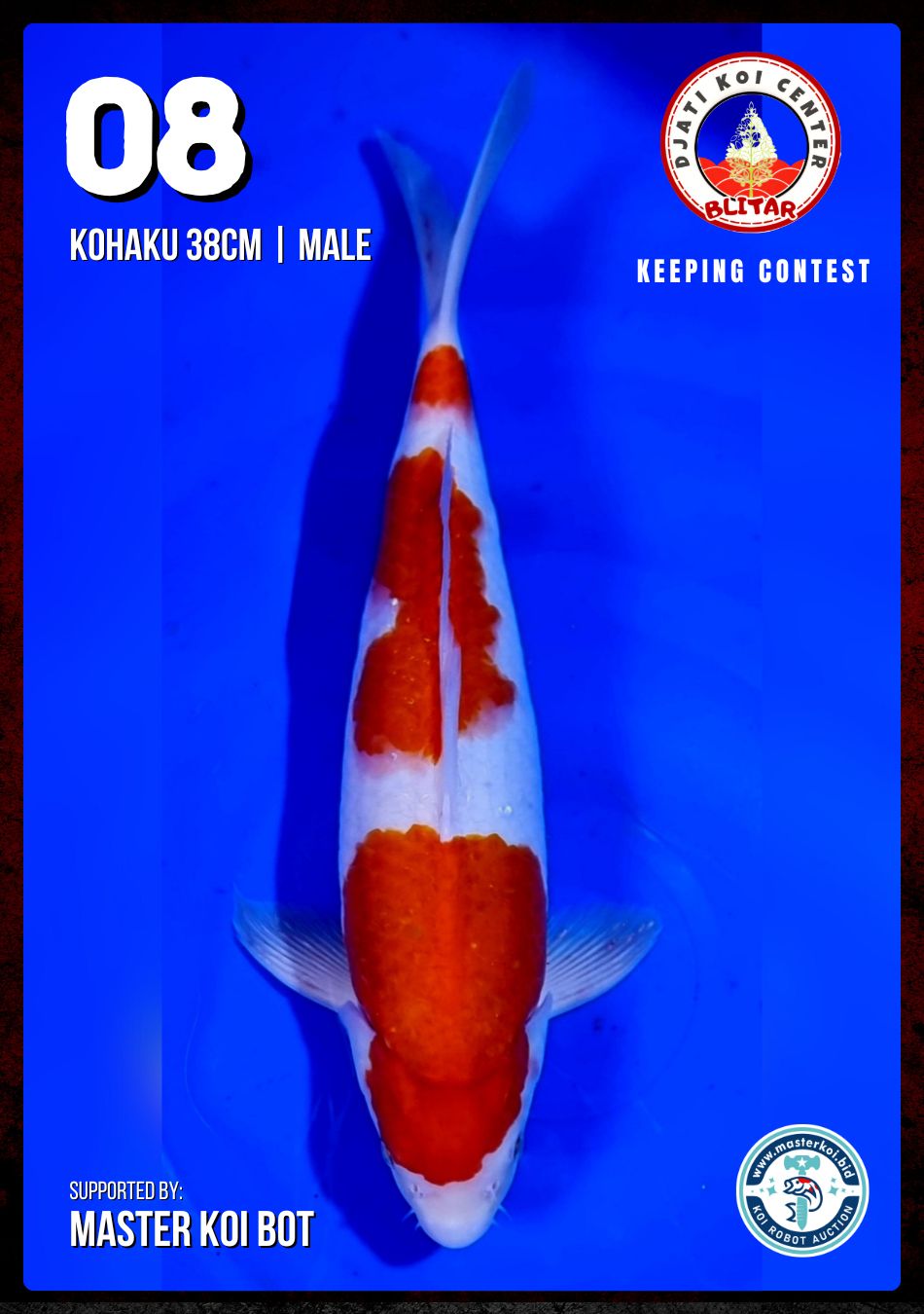 Lelang Koi Online, Jual Beli Ikan Koi, Pusat Jual Beli Koi, Info Lelang Koi Hari Ini, Platform Jual Beli Koi, Jual Beli Ikan Koi Online, Marketplace Ikan Koi, Jual Koi Terbaik, Tempat Beli Koi Berkualitas, Pasar Ikan Koi Online Terpercaya, Penjual Ikan Koi Terpercaya, Beli Koi Hias Online, Ikan Koi untuk Dijual, Koi Kualitas Terbaik, Toko Online Ikan Koi, Koi Hias Untuk Dijual, Jual Beli Ikan Koi Lokal, Koi Indonesia Online, Pusat Jual Beli Koi Terbesar