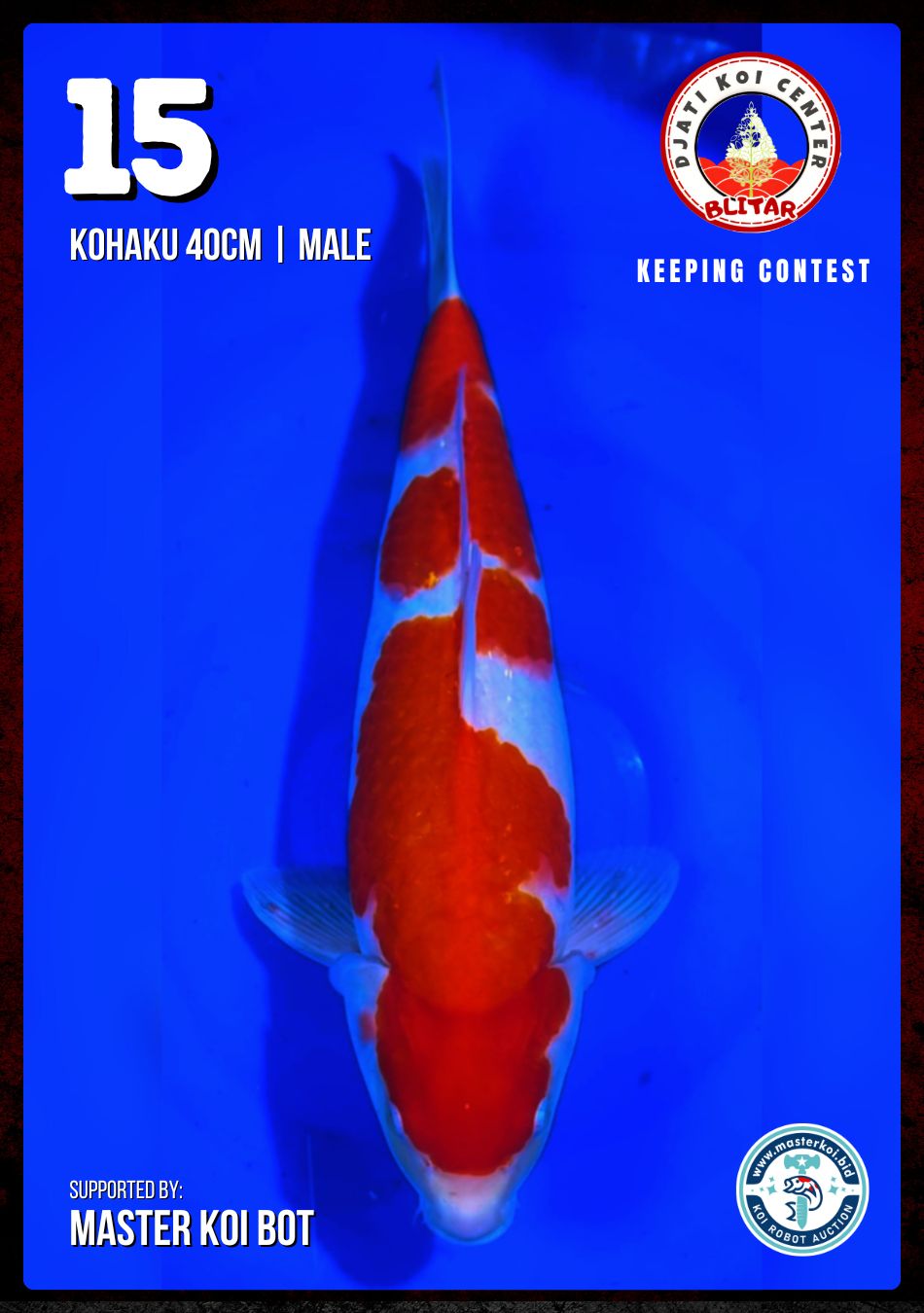 Lelang Koi Online, Jual Beli Ikan Koi, Pusat Jual Beli Koi, Info Lelang Koi Hari Ini, Platform Jual Beli Koi, Jual Beli Ikan Koi Online, Marketplace Ikan Koi, Jual Koi Terbaik, Tempat Beli Koi Berkualitas, Pasar Ikan Koi Online Terpercaya, Penjual Ikan Koi Terpercaya, Beli Koi Hias Online, Ikan Koi untuk Dijual, Koi Kualitas Terbaik, Toko Online Ikan Koi, Koi Hias Untuk Dijual, Jual Beli Ikan Koi Lokal, Koi Indonesia Online, Pusat Jual Beli Koi Terbesar