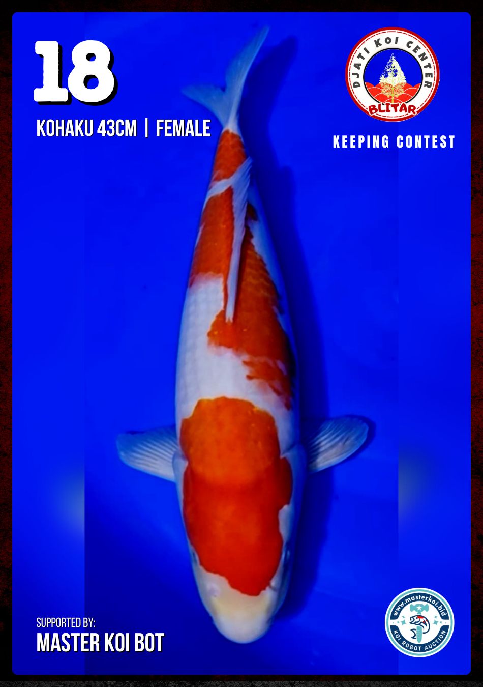 Lelang Koi Online, Jual Beli Ikan Koi, Pusat Jual Beli Koi, Info Lelang Koi Hari Ini, Platform Jual Beli Koi, Jual Beli Ikan Koi Online, Marketplace Ikan Koi, Jual Koi Terbaik, Tempat Beli Koi Berkualitas, Pasar Ikan Koi Online Terpercaya, Penjual Ikan Koi Terpercaya, Beli Koi Hias Online, Ikan Koi untuk Dijual, Koi Kualitas Terbaik, Toko Online Ikan Koi, Koi Hias Untuk Dijual, Jual Beli Ikan Koi Lokal, Koi Indonesia Online, Pusat Jual Beli Koi Terbesar