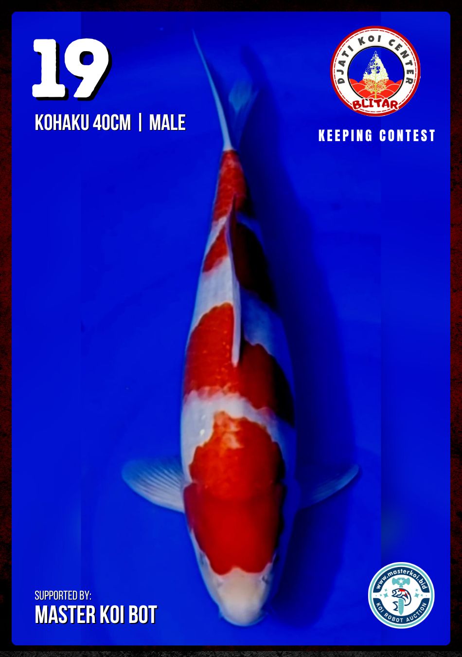 Lelang Koi Online, Jual Beli Ikan Koi, Pusat Jual Beli Koi, Info Lelang Koi Hari Ini, Platform Jual Beli Koi, Jual Beli Ikan Koi Online, Marketplace Ikan Koi, Jual Koi Terbaik, Tempat Beli Koi Berkualitas, Pasar Ikan Koi Online Terpercaya, Penjual Ikan Koi Terpercaya, Beli Koi Hias Online, Ikan Koi untuk Dijual, Koi Kualitas Terbaik, Toko Online Ikan Koi, Koi Hias Untuk Dijual, Jual Beli Ikan Koi Lokal, Koi Indonesia Online, Pusat Jual Beli Koi Terbesar