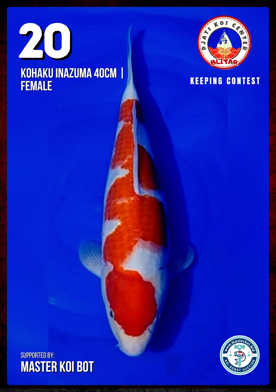 Lelang Koi Online, Jual Beli Ikan Koi, Pusat Jual Beli Koi, Info Lelang Koi Hari Ini, Platform Jual Beli Koi, Jual Beli Ikan Koi Online, Marketplace Ikan Koi, Jual Koi Terbaik, Tempat Beli Koi Berkualitas, Pasar Ikan Koi Online Terpercaya, Penjual Ikan Koi Terpercaya, Beli Koi Hias Online, Ikan Koi untuk Dijual, Koi Kualitas Terbaik, Toko Online Ikan Koi, Koi Hias Untuk Dijual, Jual Beli Ikan Koi Lokal, Koi Indonesia Online, Pusat Jual Beli Koi Terbesar