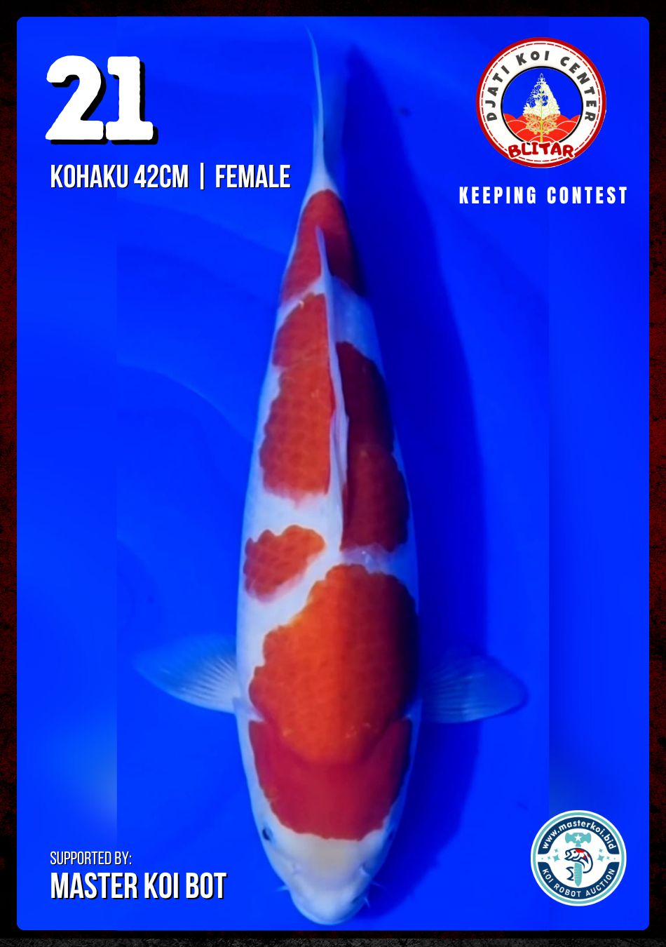 Lelang Koi Online, Jual Beli Ikan Koi, Pusat Jual Beli Koi, Info Lelang Koi Hari Ini, Platform Jual Beli Koi, Jual Beli Ikan Koi Online, Marketplace Ikan Koi, Jual Koi Terbaik, Tempat Beli Koi Berkualitas, Pasar Ikan Koi Online Terpercaya, Penjual Ikan Koi Terpercaya, Beli Koi Hias Online, Ikan Koi untuk Dijual, Koi Kualitas Terbaik, Toko Online Ikan Koi, Koi Hias Untuk Dijual, Jual Beli Ikan Koi Lokal, Koi Indonesia Online, Pusat Jual Beli Koi Terbesar
