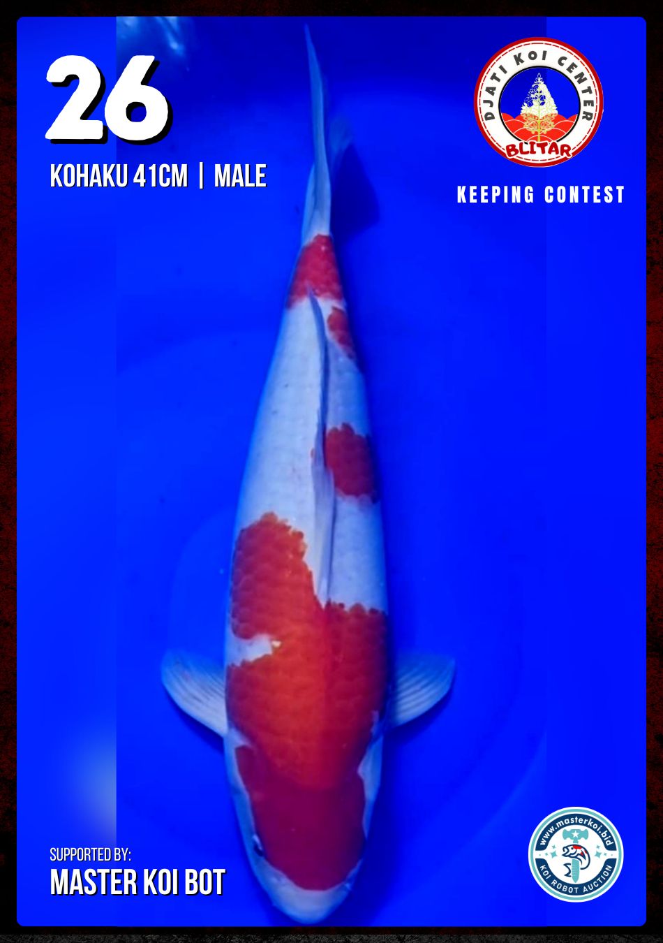 Lelang Koi Online, Jual Beli Ikan Koi, Pusat Jual Beli Koi, Info Lelang Koi Hari Ini, Platform Jual Beli Koi, Jual Beli Ikan Koi Online, Marketplace Ikan Koi, Jual Koi Terbaik, Tempat Beli Koi Berkualitas, Pasar Ikan Koi Online Terpercaya, Penjual Ikan Koi Terpercaya, Beli Koi Hias Online, Ikan Koi untuk Dijual, Koi Kualitas Terbaik, Toko Online Ikan Koi, Koi Hias Untuk Dijual, Jual Beli Ikan Koi Lokal, Koi Indonesia Online, Pusat Jual Beli Koi Terbesar