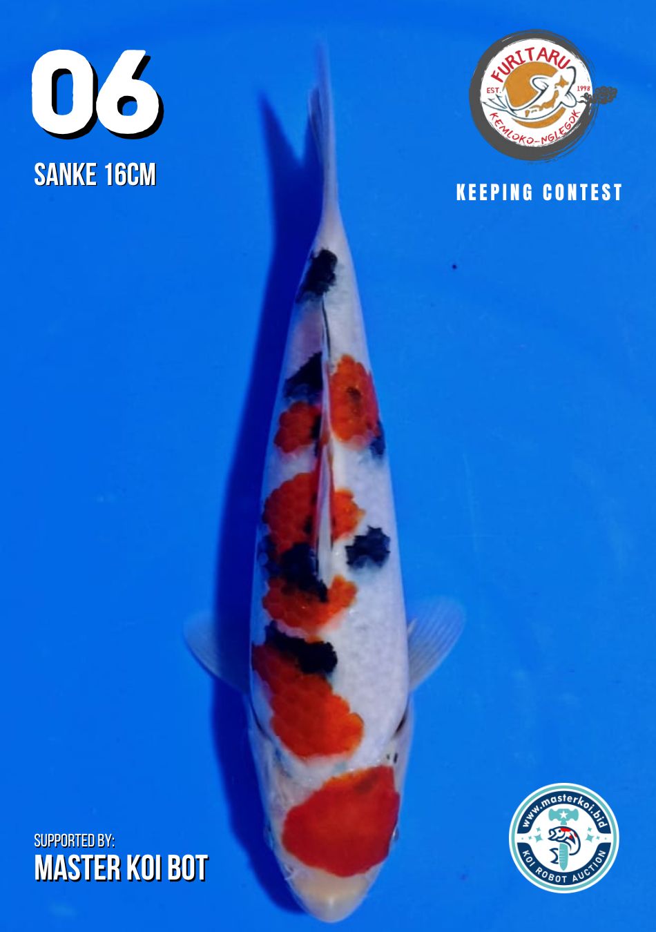 Lelang Koi Online, Jual Beli Ikan Koi, Pusat Jual Beli Koi, Info Lelang Koi Hari Ini, Platform Jual Beli Koi, Jual Beli Ikan Koi Online, Marketplace Ikan Koi, Jual Koi Terbaik, Tempat Beli Koi Berkualitas, Pasar Ikan Koi Online Terpercaya, Penjual Ikan Koi Terpercaya, Beli Koi Hias Online, Ikan Koi untuk Dijual, Koi Kualitas Terbaik, Toko Online Ikan Koi, Koi Hias Untuk Dijual, Jual Beli Ikan Koi Lokal, Koi Indonesia Online, Pusat Jual Beli Koi Terbesar