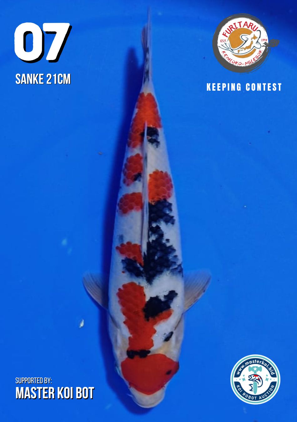 Lelang Koi Online, Jual Beli Ikan Koi, Pusat Jual Beli Koi, Info Lelang Koi Hari Ini, Platform Jual Beli Koi, Jual Beli Ikan Koi Online, Marketplace Ikan Koi, Jual Koi Terbaik, Tempat Beli Koi Berkualitas, Pasar Ikan Koi Online Terpercaya, Penjual Ikan Koi Terpercaya, Beli Koi Hias Online, Ikan Koi untuk Dijual, Koi Kualitas Terbaik, Toko Online Ikan Koi, Koi Hias Untuk Dijual, Jual Beli Ikan Koi Lokal, Koi Indonesia Online, Pusat Jual Beli Koi Terbesar