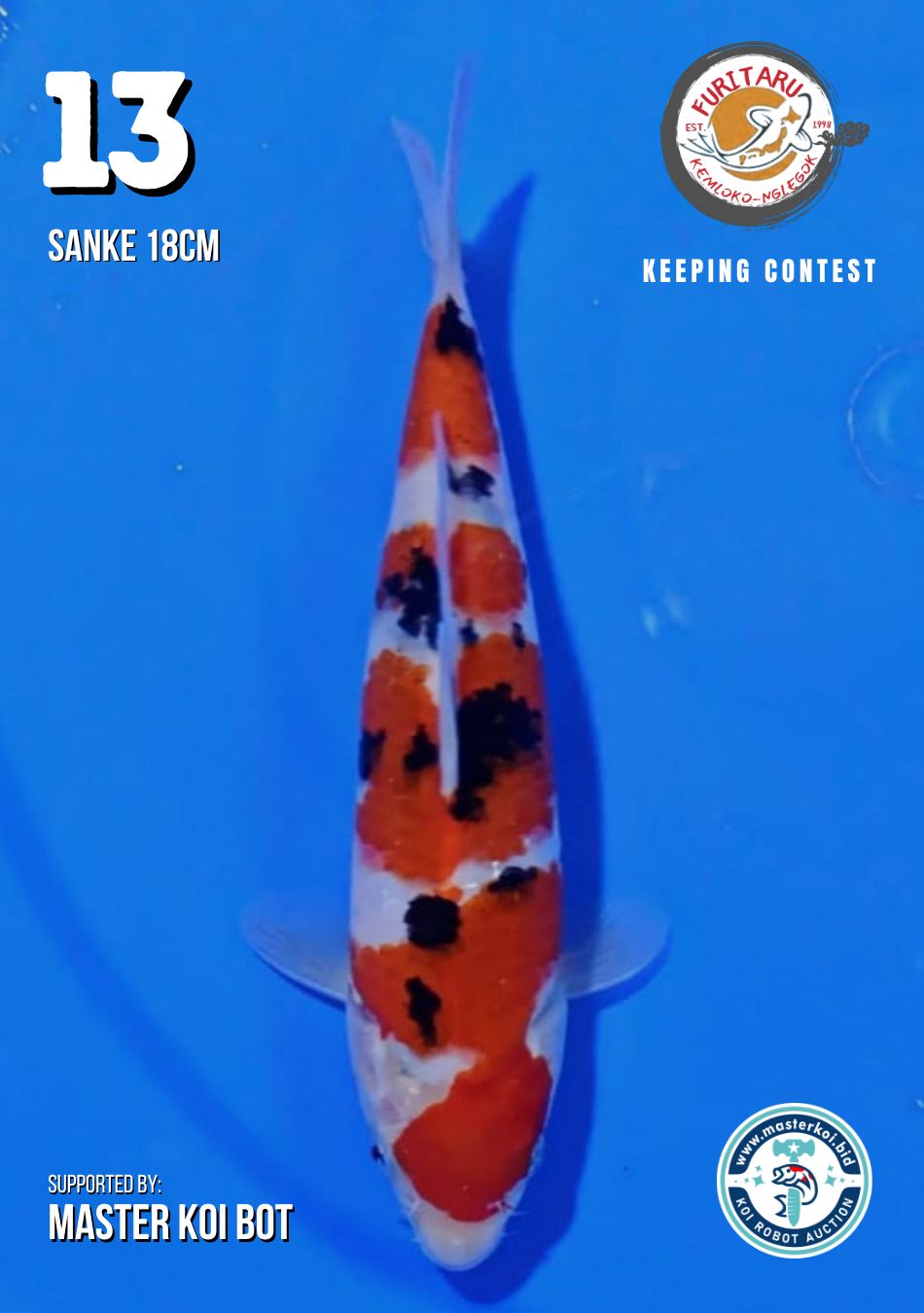 Lelang Koi Online, Jual Beli Ikan Koi, Pusat Jual Beli Koi, Info Lelang Koi Hari Ini, Platform Jual Beli Koi, Jual Beli Ikan Koi Online, Marketplace Ikan Koi, Jual Koi Terbaik, Tempat Beli Koi Berkualitas, Pasar Ikan Koi Online Terpercaya, Penjual Ikan Koi Terpercaya, Beli Koi Hias Online, Ikan Koi untuk Dijual, Koi Kualitas Terbaik, Toko Online Ikan Koi, Koi Hias Untuk Dijual, Jual Beli Ikan Koi Lokal, Koi Indonesia Online, Pusat Jual Beli Koi Terbesar