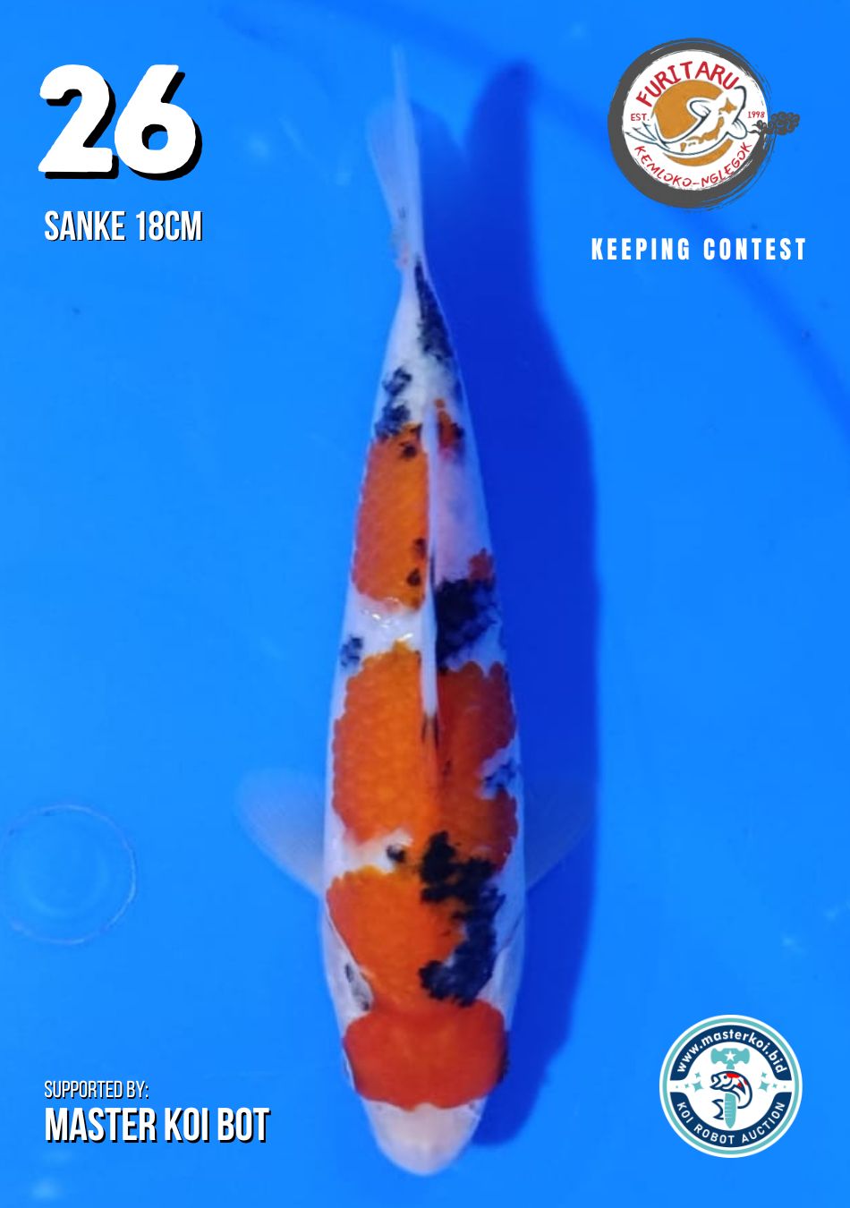 Lelang Koi Online, Jual Beli Ikan Koi, Pusat Jual Beli Koi, Info Lelang Koi Hari Ini, Platform Jual Beli Koi, Jual Beli Ikan Koi Online, Marketplace Ikan Koi, Jual Koi Terbaik, Tempat Beli Koi Berkualitas, Pasar Ikan Koi Online Terpercaya, Penjual Ikan Koi Terpercaya, Beli Koi Hias Online, Ikan Koi untuk Dijual, Koi Kualitas Terbaik, Toko Online Ikan Koi, Koi Hias Untuk Dijual, Jual Beli Ikan Koi Lokal, Koi Indonesia Online, Pusat Jual Beli Koi Terbesar