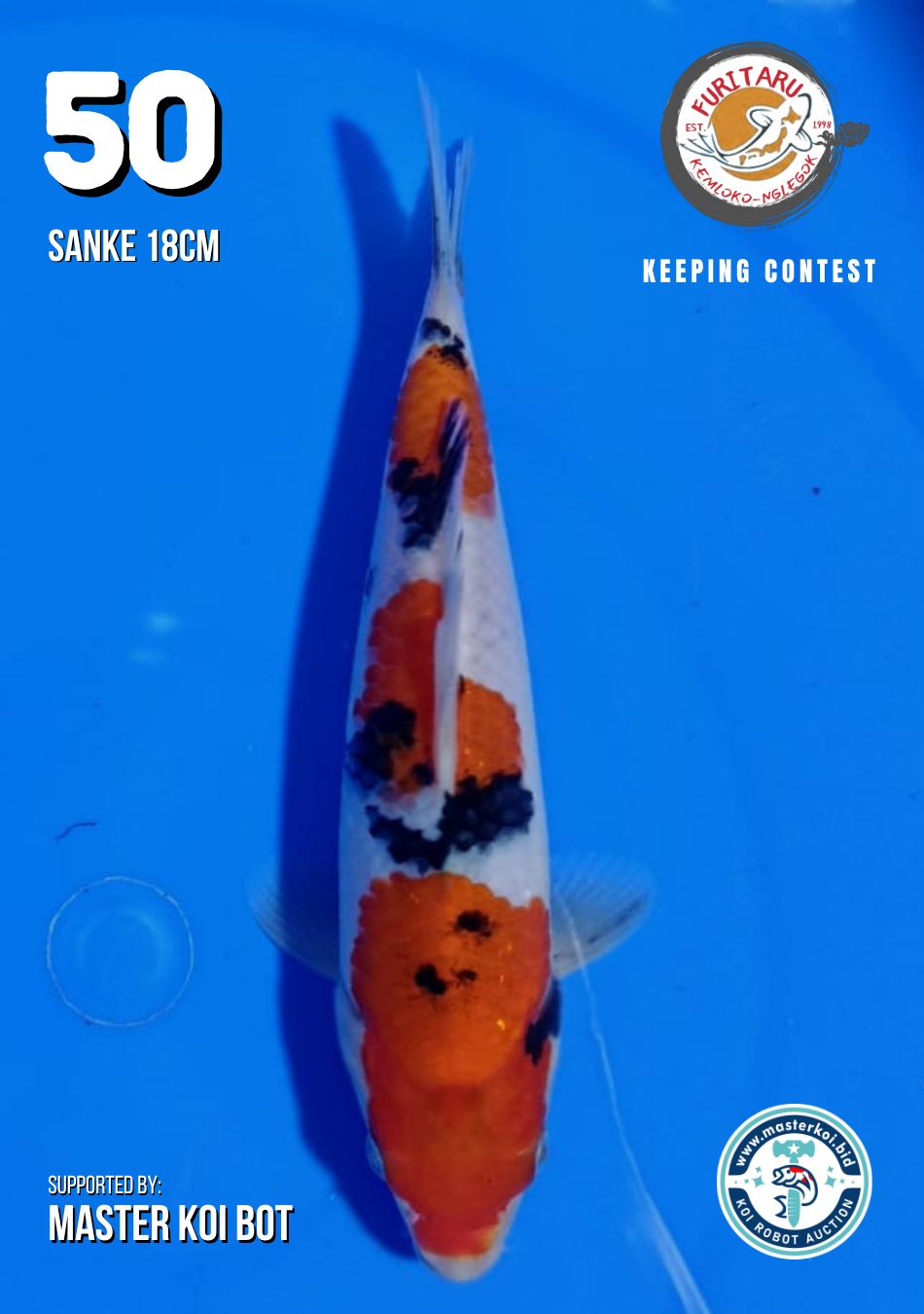 Lelang Koi Online, Jual Beli Ikan Koi, Pusat Jual Beli Koi, Info Lelang Koi Hari Ini, Platform Jual Beli Koi, Jual Beli Ikan Koi Online, Marketplace Ikan Koi, Jual Koi Terbaik, Tempat Beli Koi Berkualitas, Pasar Ikan Koi Online Terpercaya, Penjual Ikan Koi Terpercaya, Beli Koi Hias Online, Ikan Koi untuk Dijual, Koi Kualitas Terbaik, Toko Online Ikan Koi, Koi Hias Untuk Dijual, Jual Beli Ikan Koi Lokal, Koi Indonesia Online, Pusat Jual Beli Koi Terbesar