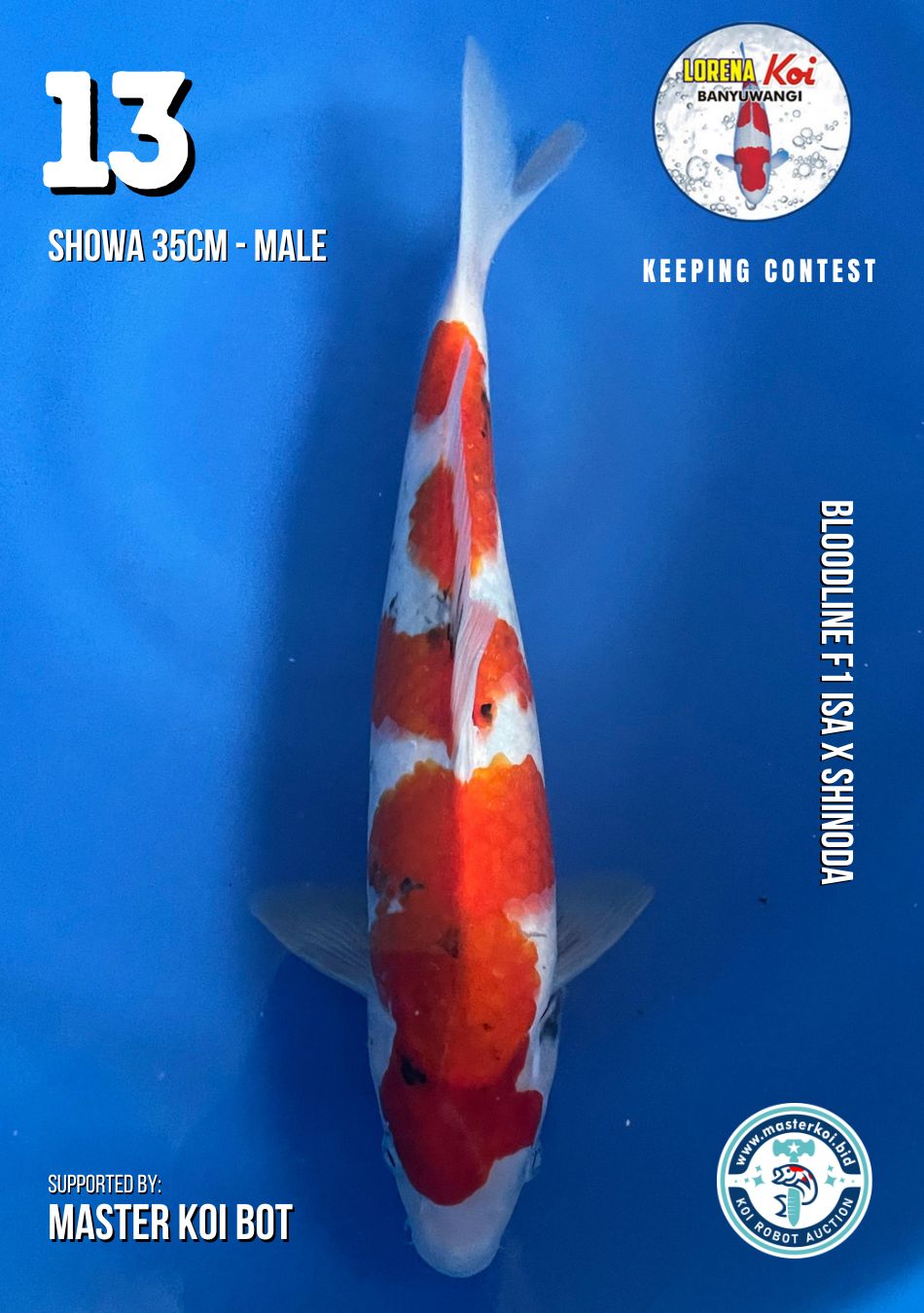 Lelang Koi Online, Jual Beli Ikan Koi, Pusat Jual Beli Koi, Info Lelang Koi Hari Ini, Platform Jual Beli Koi, Jual Beli Ikan Koi Online, Marketplace Ikan Koi, Jual Koi Terbaik, Tempat Beli Koi Berkualitas, Pasar Ikan Koi Online Terpercaya, Penjual Ikan Koi Terpercaya, Beli Koi Hias Online, Ikan Koi untuk Dijual, Koi Kualitas Terbaik, Toko Online Ikan Koi, Koi Hias Untuk Dijual, Jual Beli Ikan Koi Lokal, Koi Indonesia Online, Pusat Jual Beli Koi Terbesar