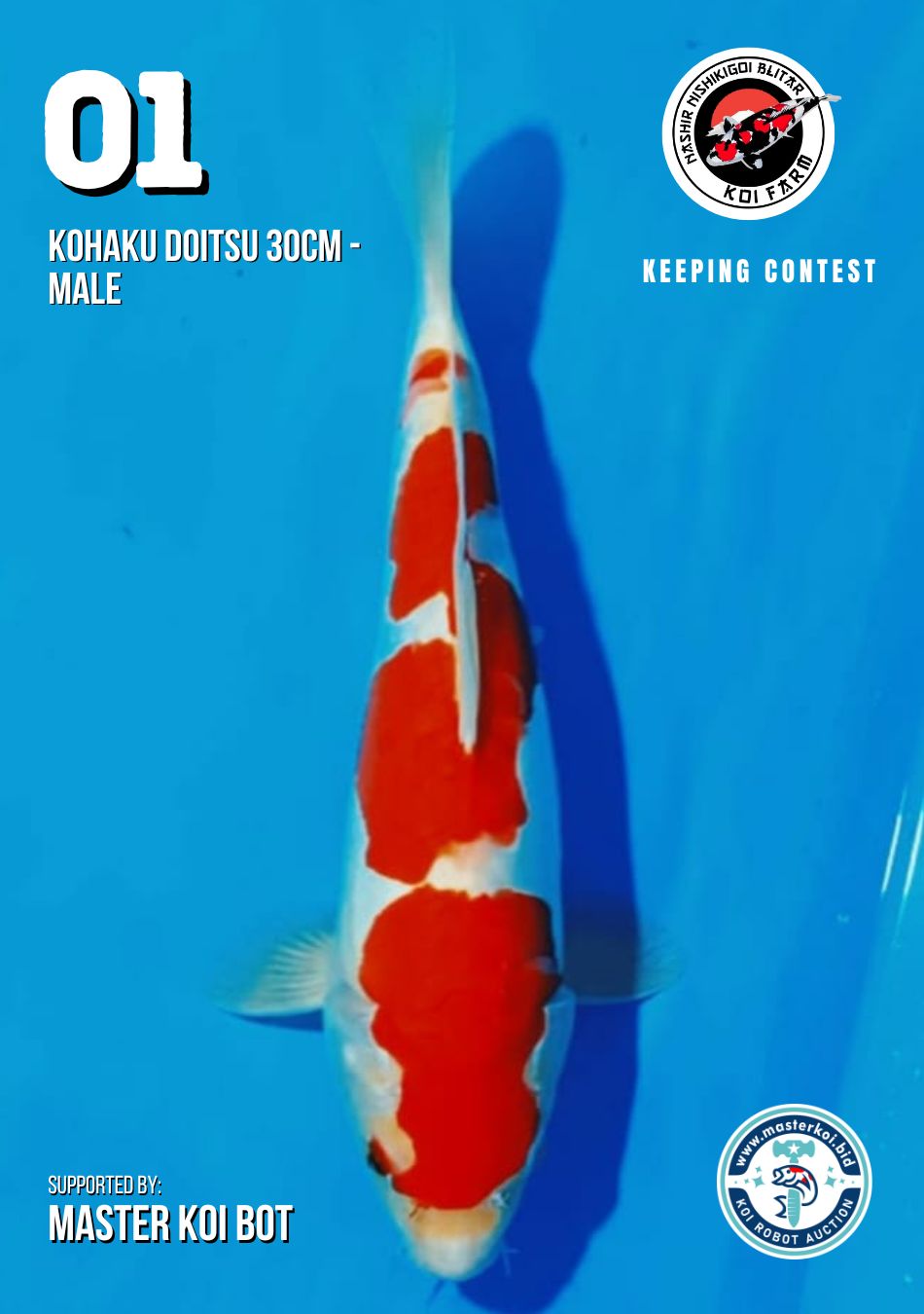 Lelang Koi Online, Jual Beli Ikan Koi, Pusat Jual Beli Koi, Info Lelang Koi Hari Ini, Platform Jual Beli Koi, Jual Beli Ikan Koi Online, Marketplace Ikan Koi, Jual Koi Terbaik, Tempat Beli Koi Berkualitas, Pasar Ikan Koi Online Terpercaya, Penjual Ikan Koi Terpercaya, Beli Koi Hias Online, Ikan Koi untuk Dijual, Koi Kualitas Terbaik, Toko Online Ikan Koi, Koi Hias Untuk Dijual, Jual Beli Ikan Koi Lokal, Koi Indonesia Online, Pusat Jual Beli Koi Terbesar