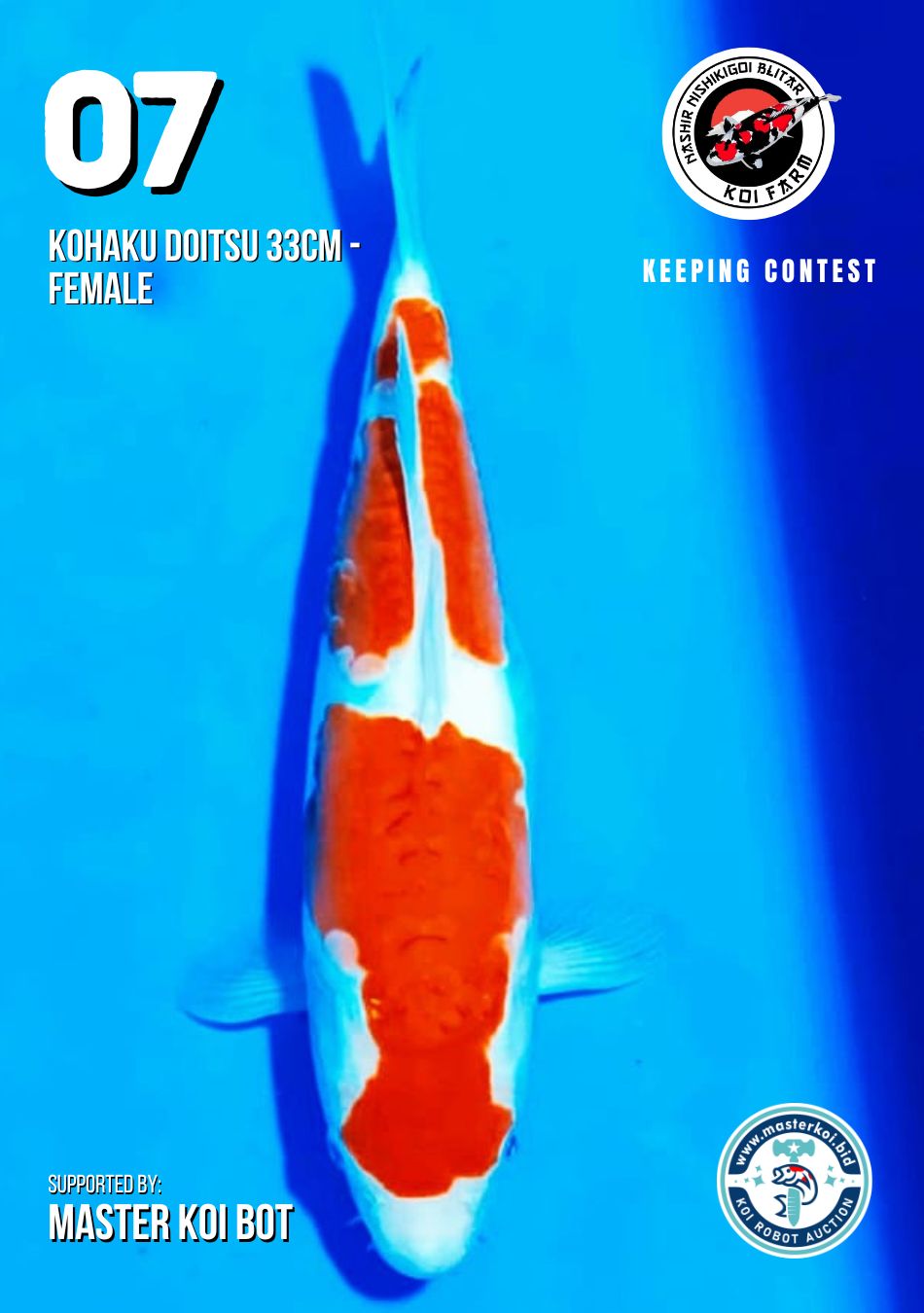 Lelang Koi Online, Jual Beli Ikan Koi, Pusat Jual Beli Koi, Info Lelang Koi Hari Ini, Platform Jual Beli Koi, Jual Beli Ikan Koi Online, Marketplace Ikan Koi, Jual Koi Terbaik, Tempat Beli Koi Berkualitas, Pasar Ikan Koi Online Terpercaya, Penjual Ikan Koi Terpercaya, Beli Koi Hias Online, Ikan Koi untuk Dijual, Koi Kualitas Terbaik, Toko Online Ikan Koi, Koi Hias Untuk Dijual, Jual Beli Ikan Koi Lokal, Koi Indonesia Online, Pusat Jual Beli Koi Terbesar