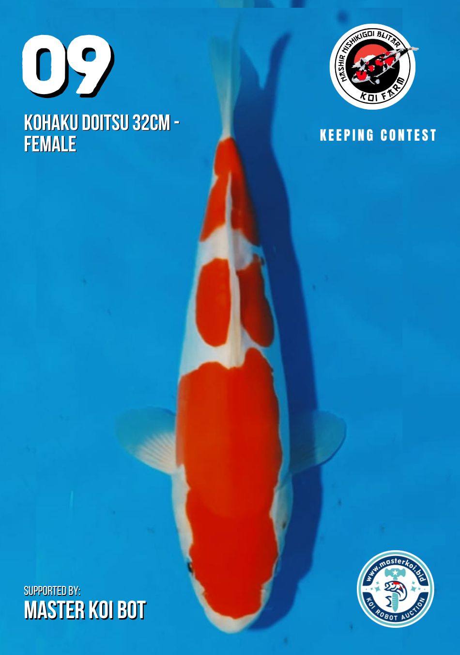 Lelang Koi Online, Jual Beli Ikan Koi, Pusat Jual Beli Koi, Info Lelang Koi Hari Ini, Platform Jual Beli Koi, Jual Beli Ikan Koi Online, Marketplace Ikan Koi, Jual Koi Terbaik, Tempat Beli Koi Berkualitas, Pasar Ikan Koi Online Terpercaya, Penjual Ikan Koi Terpercaya, Beli Koi Hias Online, Ikan Koi untuk Dijual, Koi Kualitas Terbaik, Toko Online Ikan Koi, Koi Hias Untuk Dijual, Jual Beli Ikan Koi Lokal, Koi Indonesia Online, Pusat Jual Beli Koi Terbesar