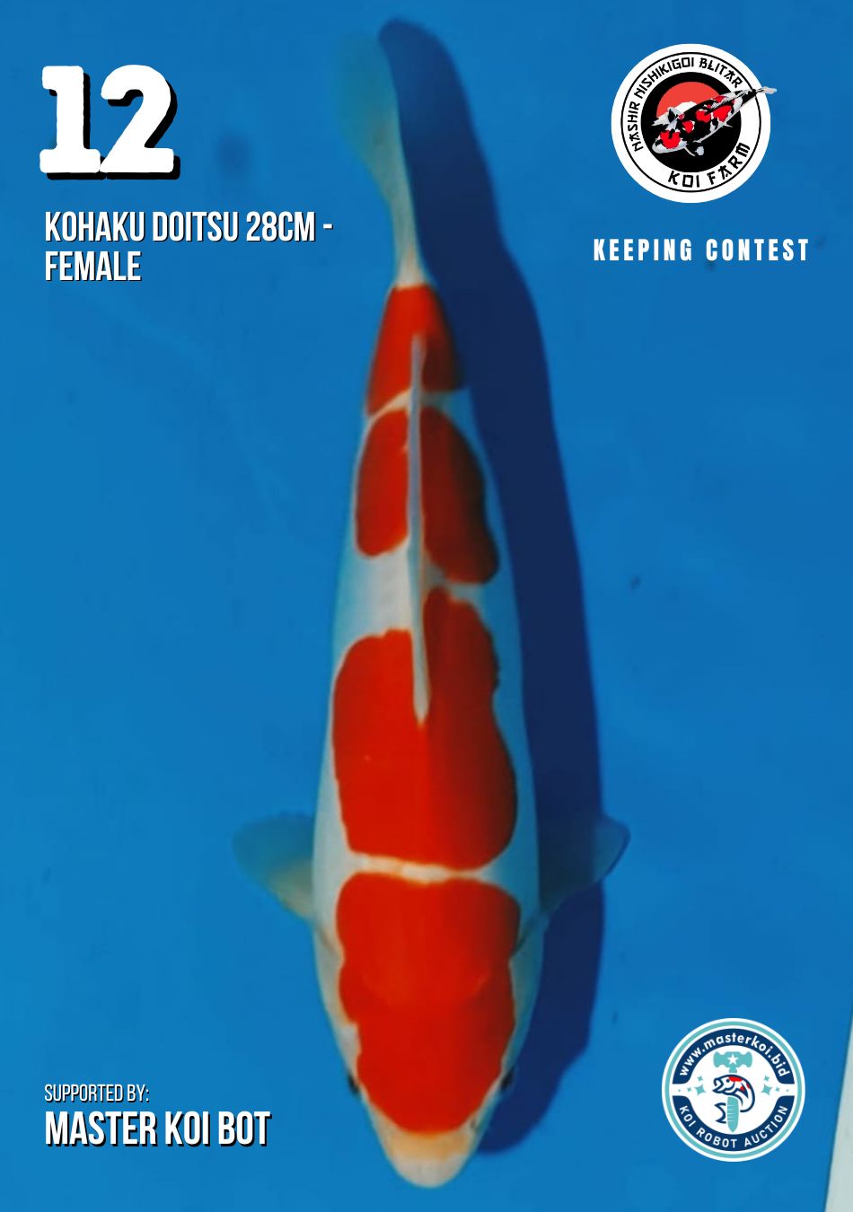 Lelang Koi Online, Jual Beli Ikan Koi, Pusat Jual Beli Koi, Info Lelang Koi Hari Ini, Platform Jual Beli Koi, Jual Beli Ikan Koi Online, Marketplace Ikan Koi, Jual Koi Terbaik, Tempat Beli Koi Berkualitas, Pasar Ikan Koi Online Terpercaya, Penjual Ikan Koi Terpercaya, Beli Koi Hias Online, Ikan Koi untuk Dijual, Koi Kualitas Terbaik, Toko Online Ikan Koi, Koi Hias Untuk Dijual, Jual Beli Ikan Koi Lokal, Koi Indonesia Online, Pusat Jual Beli Koi Terbesar