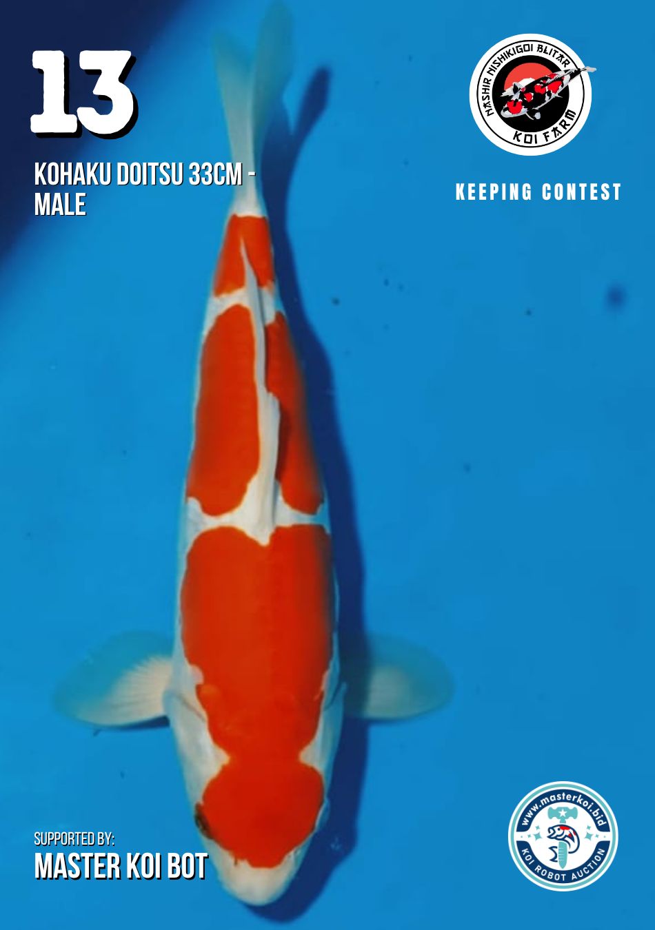 Lelang Koi Online, Jual Beli Ikan Koi, Pusat Jual Beli Koi, Info Lelang Koi Hari Ini, Platform Jual Beli Koi, Jual Beli Ikan Koi Online, Marketplace Ikan Koi, Jual Koi Terbaik, Tempat Beli Koi Berkualitas, Pasar Ikan Koi Online Terpercaya, Penjual Ikan Koi Terpercaya, Beli Koi Hias Online, Ikan Koi untuk Dijual, Koi Kualitas Terbaik, Toko Online Ikan Koi, Koi Hias Untuk Dijual, Jual Beli Ikan Koi Lokal, Koi Indonesia Online, Pusat Jual Beli Koi Terbesar