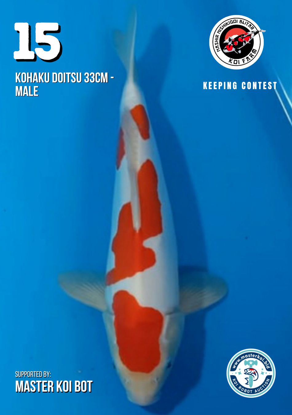 Lelang Koi Online, Jual Beli Ikan Koi, Pusat Jual Beli Koi, Info Lelang Koi Hari Ini, Platform Jual Beli Koi, Jual Beli Ikan Koi Online, Marketplace Ikan Koi, Jual Koi Terbaik, Tempat Beli Koi Berkualitas, Pasar Ikan Koi Online Terpercaya, Penjual Ikan Koi Terpercaya, Beli Koi Hias Online, Ikan Koi untuk Dijual, Koi Kualitas Terbaik, Toko Online Ikan Koi, Koi Hias Untuk Dijual, Jual Beli Ikan Koi Lokal, Koi Indonesia Online, Pusat Jual Beli Koi Terbesar