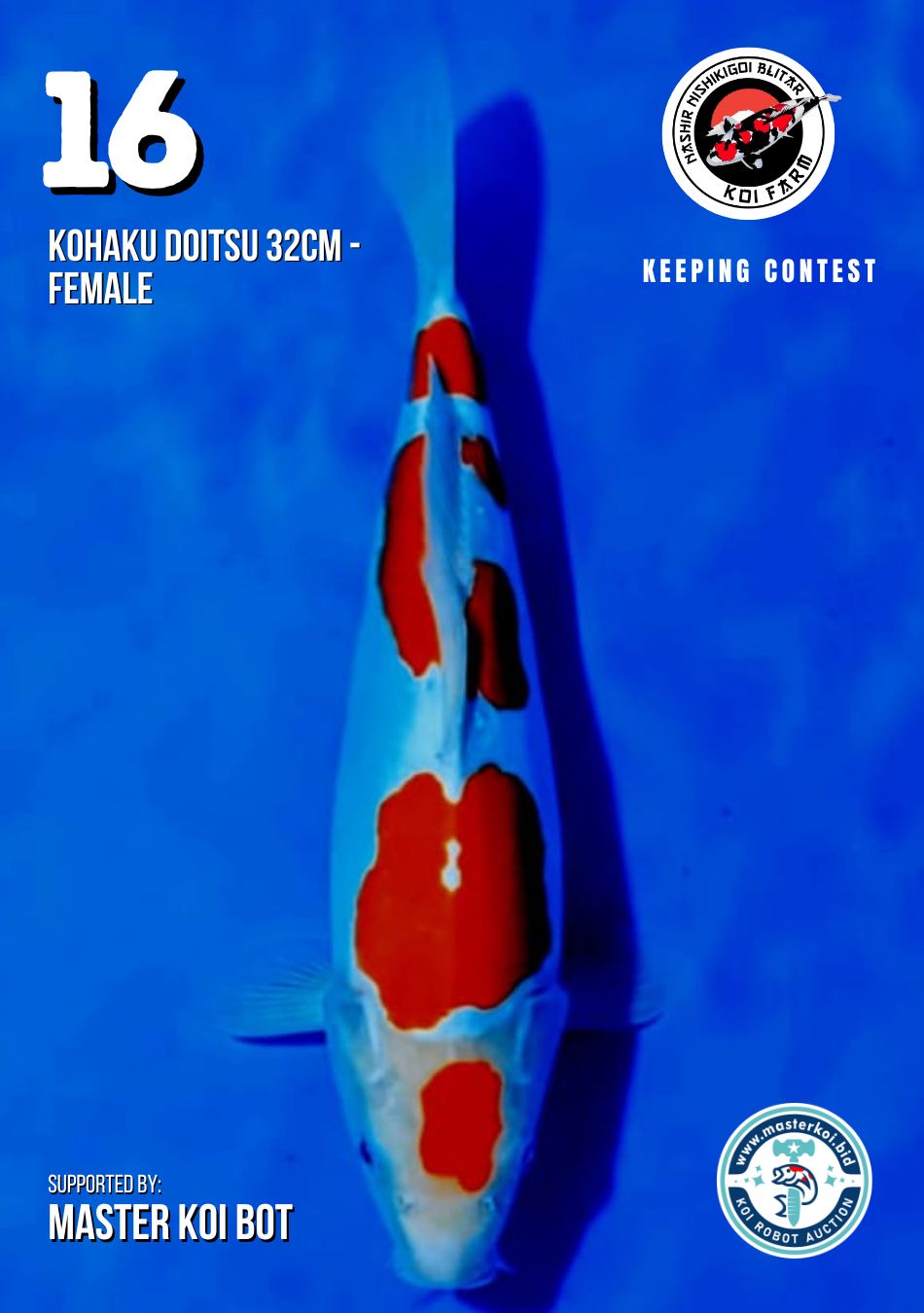 Lelang Koi Online, Jual Beli Ikan Koi, Pusat Jual Beli Koi, Info Lelang Koi Hari Ini, Platform Jual Beli Koi, Jual Beli Ikan Koi Online, Marketplace Ikan Koi, Jual Koi Terbaik, Tempat Beli Koi Berkualitas, Pasar Ikan Koi Online Terpercaya, Penjual Ikan Koi Terpercaya, Beli Koi Hias Online, Ikan Koi untuk Dijual, Koi Kualitas Terbaik, Toko Online Ikan Koi, Koi Hias Untuk Dijual, Jual Beli Ikan Koi Lokal, Koi Indonesia Online, Pusat Jual Beli Koi Terbesar