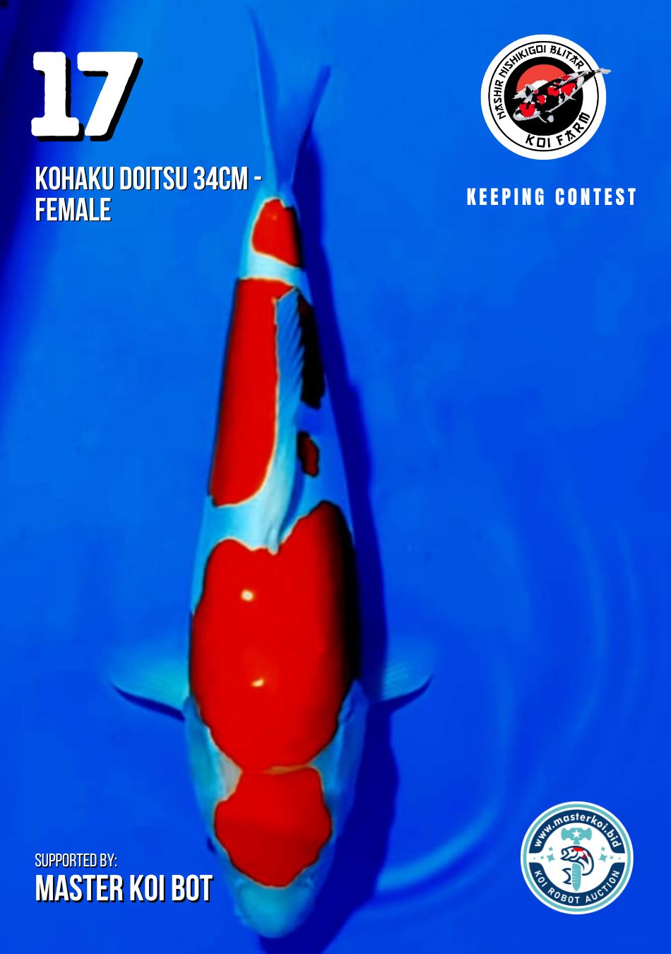 Lelang Koi Online, Jual Beli Ikan Koi, Pusat Jual Beli Koi, Info Lelang Koi Hari Ini, Platform Jual Beli Koi, Jual Beli Ikan Koi Online, Marketplace Ikan Koi, Jual Koi Terbaik, Tempat Beli Koi Berkualitas, Pasar Ikan Koi Online Terpercaya, Penjual Ikan Koi Terpercaya, Beli Koi Hias Online, Ikan Koi untuk Dijual, Koi Kualitas Terbaik, Toko Online Ikan Koi, Koi Hias Untuk Dijual, Jual Beli Ikan Koi Lokal, Koi Indonesia Online, Pusat Jual Beli Koi Terbesar