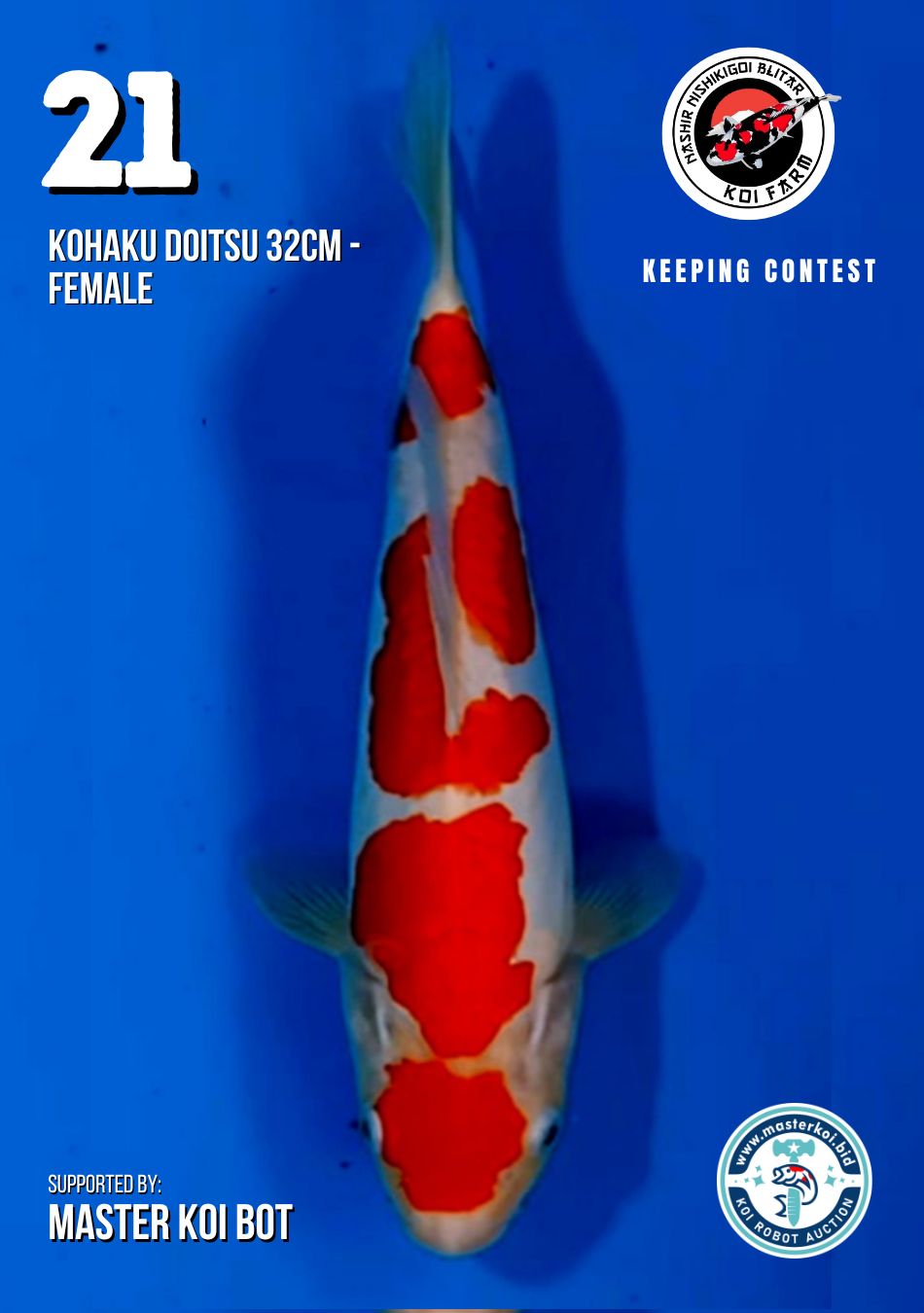 Lelang Koi Online, Jual Beli Ikan Koi, Pusat Jual Beli Koi, Info Lelang Koi Hari Ini, Platform Jual Beli Koi, Jual Beli Ikan Koi Online, Marketplace Ikan Koi, Jual Koi Terbaik, Tempat Beli Koi Berkualitas, Pasar Ikan Koi Online Terpercaya, Penjual Ikan Koi Terpercaya, Beli Koi Hias Online, Ikan Koi untuk Dijual, Koi Kualitas Terbaik, Toko Online Ikan Koi, Koi Hias Untuk Dijual, Jual Beli Ikan Koi Lokal, Koi Indonesia Online, Pusat Jual Beli Koi Terbesar