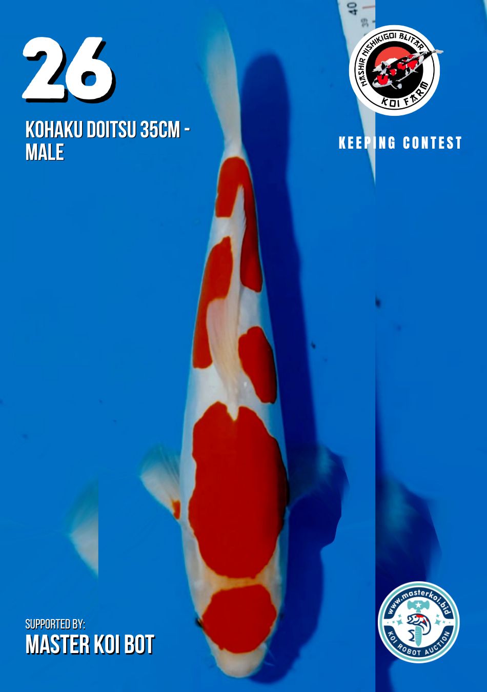 Lelang Koi Online, Jual Beli Ikan Koi, Pusat Jual Beli Koi, Info Lelang Koi Hari Ini, Platform Jual Beli Koi, Jual Beli Ikan Koi Online, Marketplace Ikan Koi, Jual Koi Terbaik, Tempat Beli Koi Berkualitas, Pasar Ikan Koi Online Terpercaya, Penjual Ikan Koi Terpercaya, Beli Koi Hias Online, Ikan Koi untuk Dijual, Koi Kualitas Terbaik, Toko Online Ikan Koi, Koi Hias Untuk Dijual, Jual Beli Ikan Koi Lokal, Koi Indonesia Online, Pusat Jual Beli Koi Terbesar