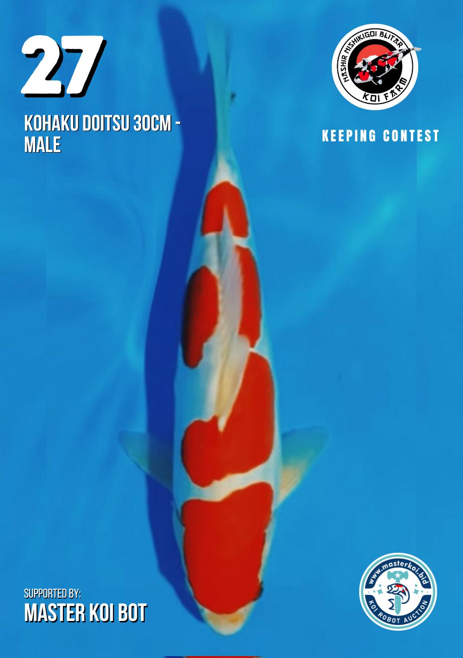 Lelang Koi Online, Jual Beli Ikan Koi, Pusat Jual Beli Koi, Info Lelang Koi Hari Ini, Platform Jual Beli Koi, Jual Beli Ikan Koi Online, Marketplace Ikan Koi, Jual Koi Terbaik, Tempat Beli Koi Berkualitas, Pasar Ikan Koi Online Terpercaya, Penjual Ikan Koi Terpercaya, Beli Koi Hias Online, Ikan Koi untuk Dijual, Koi Kualitas Terbaik, Toko Online Ikan Koi, Koi Hias Untuk Dijual, Jual Beli Ikan Koi Lokal, Koi Indonesia Online, Pusat Jual Beli Koi Terbesar