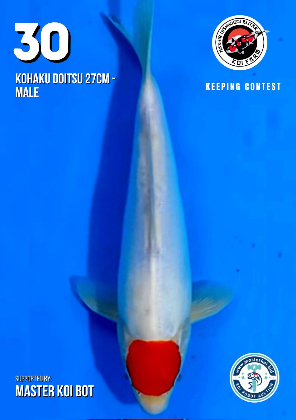 Lelang Koi Online, Jual Beli Ikan Koi, Pusat Jual Beli Koi, Info Lelang Koi Hari Ini, Platform Jual Beli Koi, Jual Beli Ikan Koi Online, Marketplace Ikan Koi, Jual Koi Terbaik, Tempat Beli Koi Berkualitas, Pasar Ikan Koi Online Terpercaya, Penjual Ikan Koi Terpercaya, Beli Koi Hias Online, Ikan Koi untuk Dijual, Koi Kualitas Terbaik, Toko Online Ikan Koi, Koi Hias Untuk Dijual, Jual Beli Ikan Koi Lokal, Koi Indonesia Online, Pusat Jual Beli Koi Terbesar