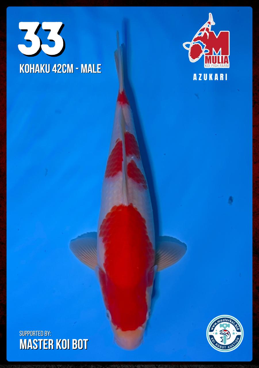 Lelang Koi Online, Jual Beli Ikan Koi, Pusat Jual Beli Koi, Info Lelang Koi Hari Ini, Platform Jual Beli Koi, Jual Beli Ikan Koi Online, Marketplace Ikan Koi, Jual Koi Terbaik, Tempat Beli Koi Berkualitas, Pasar Ikan Koi Online Terpercaya, Penjual Ikan Koi Terpercaya, Beli Koi Hias Online, Ikan Koi untuk Dijual, Koi Kualitas Terbaik, Toko Online Ikan Koi, Koi Hias Untuk Dijual, Jual Beli Ikan Koi Lokal, Koi Indonesia Online, Pusat Jual Beli Koi Terbesar