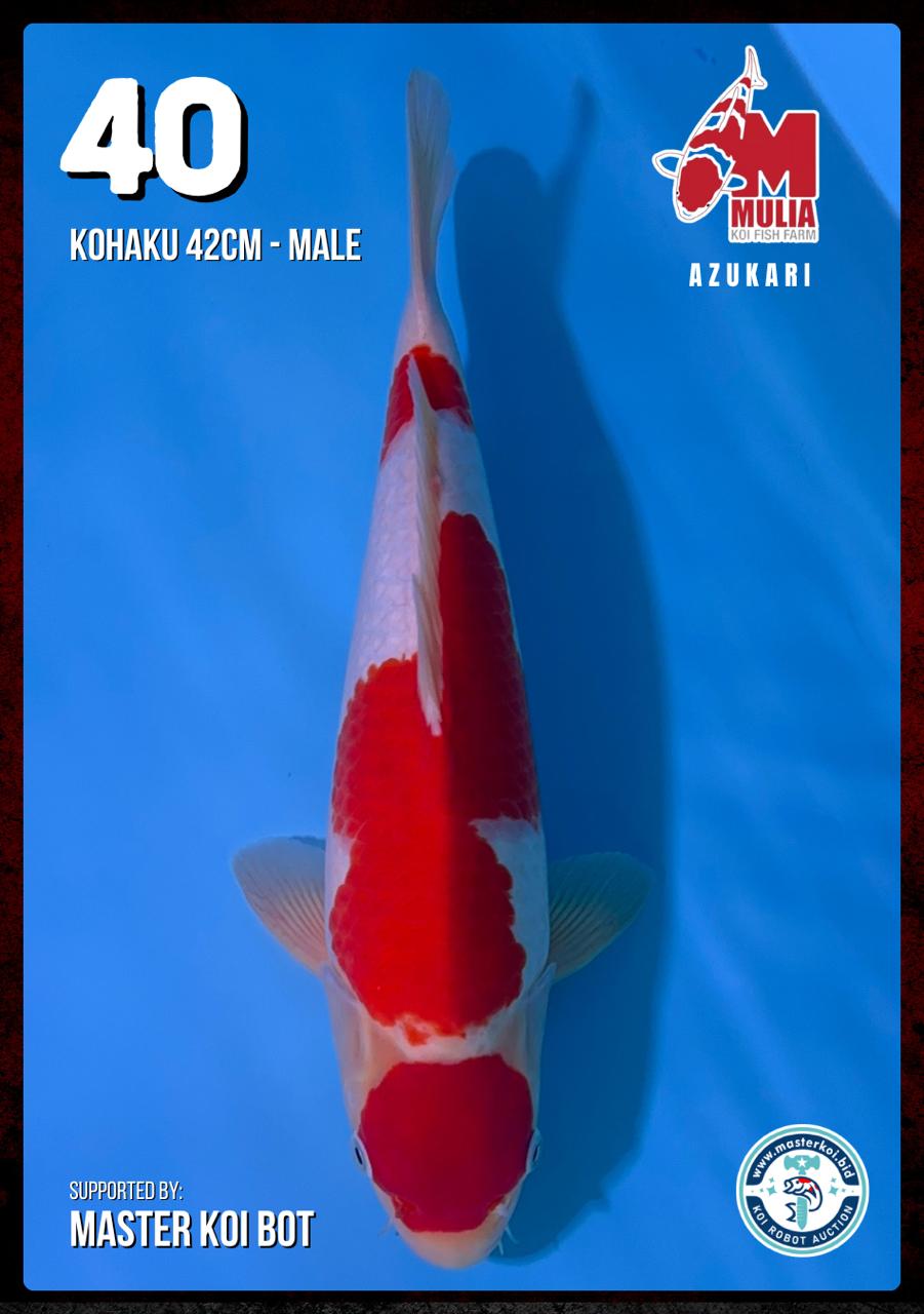 Lelang Koi Online, Jual Beli Ikan Koi, Pusat Jual Beli Koi, Info Lelang Koi Hari Ini, Platform Jual Beli Koi, Jual Beli Ikan Koi Online, Marketplace Ikan Koi, Jual Koi Terbaik, Tempat Beli Koi Berkualitas, Pasar Ikan Koi Online Terpercaya, Penjual Ikan Koi Terpercaya, Beli Koi Hias Online, Ikan Koi untuk Dijual, Koi Kualitas Terbaik, Toko Online Ikan Koi, Koi Hias Untuk Dijual, Jual Beli Ikan Koi Lokal, Koi Indonesia Online, Pusat Jual Beli Koi Terbesar
