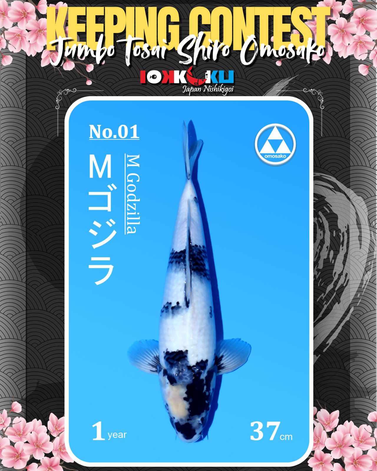 Lelang Koi Online, Jual Beli Ikan Koi, Pusat Jual Beli Koi, Info Lelang Koi Hari Ini, Platform Jual Beli Koi, Jual Beli Ikan Koi Online, Marketplace Ikan Koi, Jual Koi Terbaik, Tempat Beli Koi Berkualitas, Pasar Ikan Koi Online Terpercaya, Penjual Ikan Koi Terpercaya, Beli Koi Hias Online, Ikan Koi untuk Dijual, Koi Kualitas Terbaik, Toko Online Ikan Koi, Koi Hias Untuk Dijual, Jual Beli Ikan Koi Lokal, Koi Indonesia Online, Pusat Jual Beli Koi Terbesar