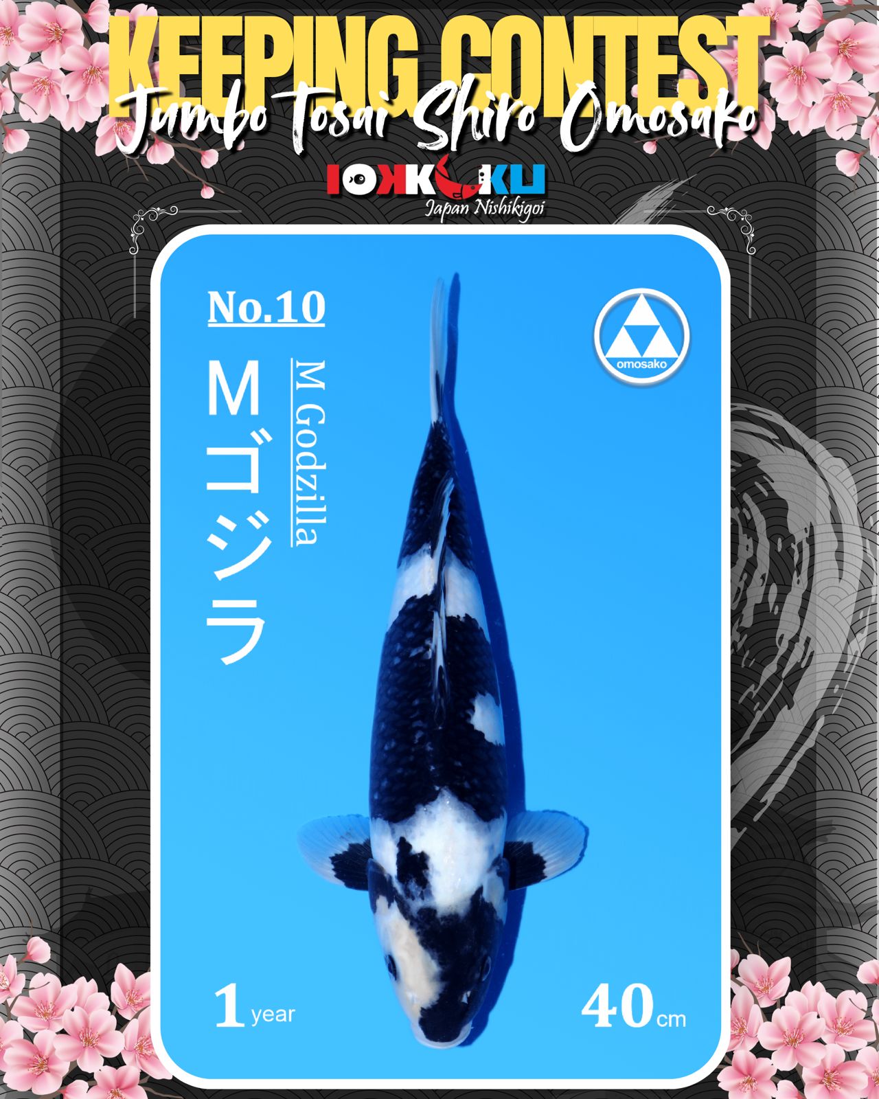 Lelang Koi Online, Jual Beli Ikan Koi, Pusat Jual Beli Koi, Info Lelang Koi Hari Ini, Platform Jual Beli Koi, Jual Beli Ikan Koi Online, Marketplace Ikan Koi, Jual Koi Terbaik, Tempat Beli Koi Berkualitas, Pasar Ikan Koi Online Terpercaya, Penjual Ikan Koi Terpercaya, Beli Koi Hias Online, Ikan Koi untuk Dijual, Koi Kualitas Terbaik, Toko Online Ikan Koi, Koi Hias Untuk Dijual, Jual Beli Ikan Koi Lokal, Koi Indonesia Online, Pusat Jual Beli Koi Terbesar