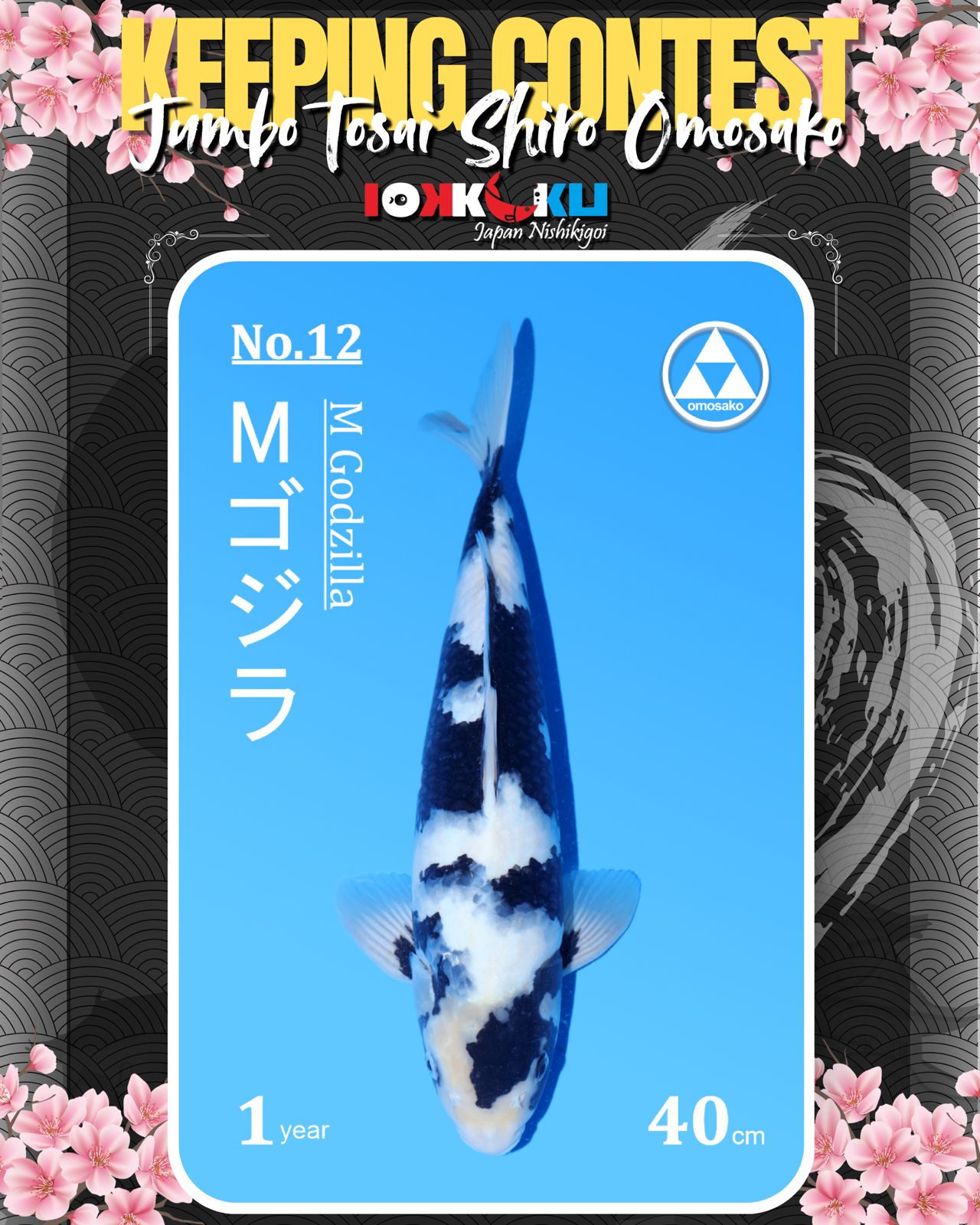 Lelang Koi Online, Jual Beli Ikan Koi, Pusat Jual Beli Koi, Info Lelang Koi Hari Ini, Platform Jual Beli Koi, Jual Beli Ikan Koi Online, Marketplace Ikan Koi, Jual Koi Terbaik, Tempat Beli Koi Berkualitas, Pasar Ikan Koi Online Terpercaya, Penjual Ikan Koi Terpercaya, Beli Koi Hias Online, Ikan Koi untuk Dijual, Koi Kualitas Terbaik, Toko Online Ikan Koi, Koi Hias Untuk Dijual, Jual Beli Ikan Koi Lokal, Koi Indonesia Online, Pusat Jual Beli Koi Terbesar