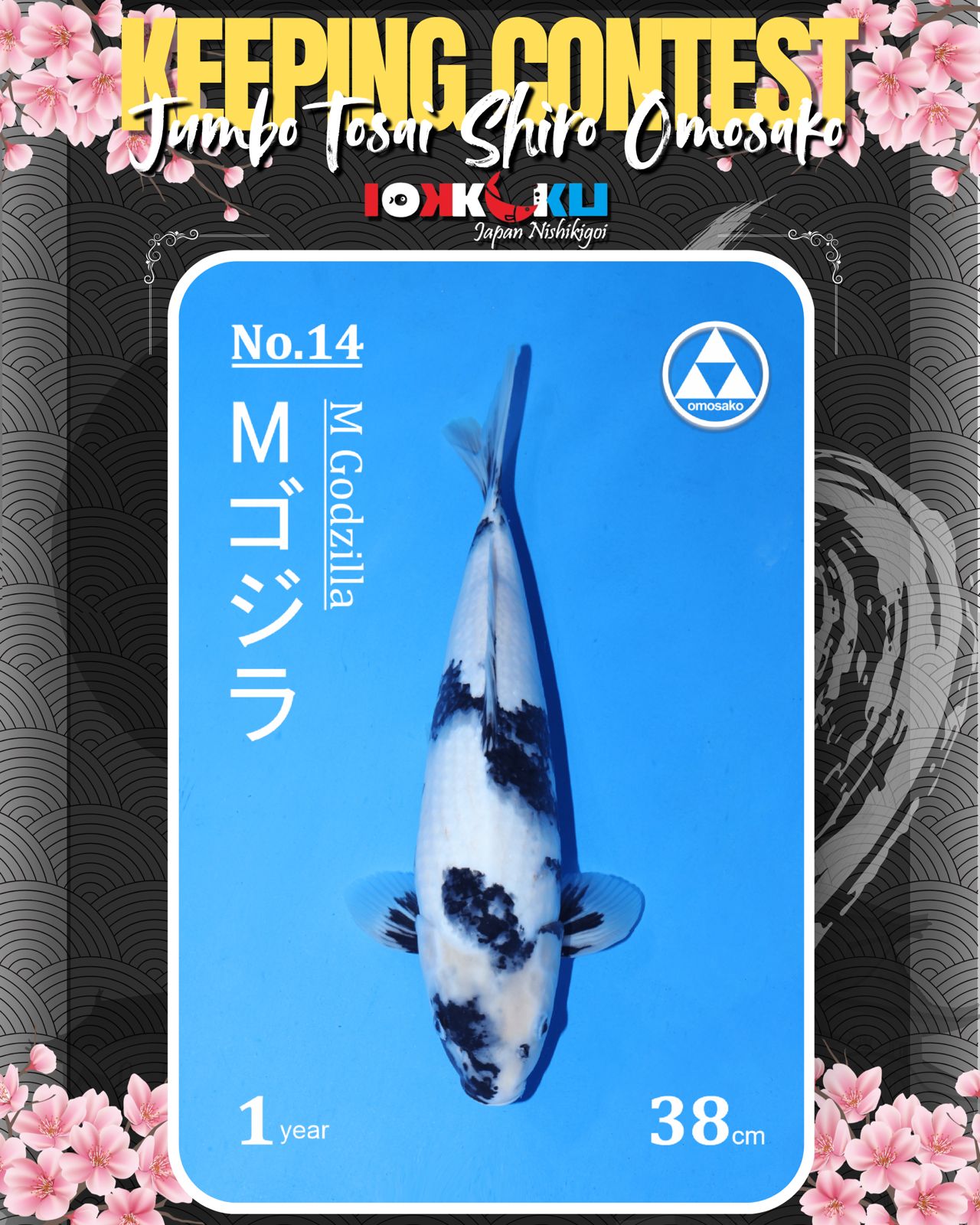 Lelang Koi Online, Jual Beli Ikan Koi, Pusat Jual Beli Koi, Info Lelang Koi Hari Ini, Platform Jual Beli Koi, Jual Beli Ikan Koi Online, Marketplace Ikan Koi, Jual Koi Terbaik, Tempat Beli Koi Berkualitas, Pasar Ikan Koi Online Terpercaya, Penjual Ikan Koi Terpercaya, Beli Koi Hias Online, Ikan Koi untuk Dijual, Koi Kualitas Terbaik, Toko Online Ikan Koi, Koi Hias Untuk Dijual, Jual Beli Ikan Koi Lokal, Koi Indonesia Online, Pusat Jual Beli Koi Terbesar