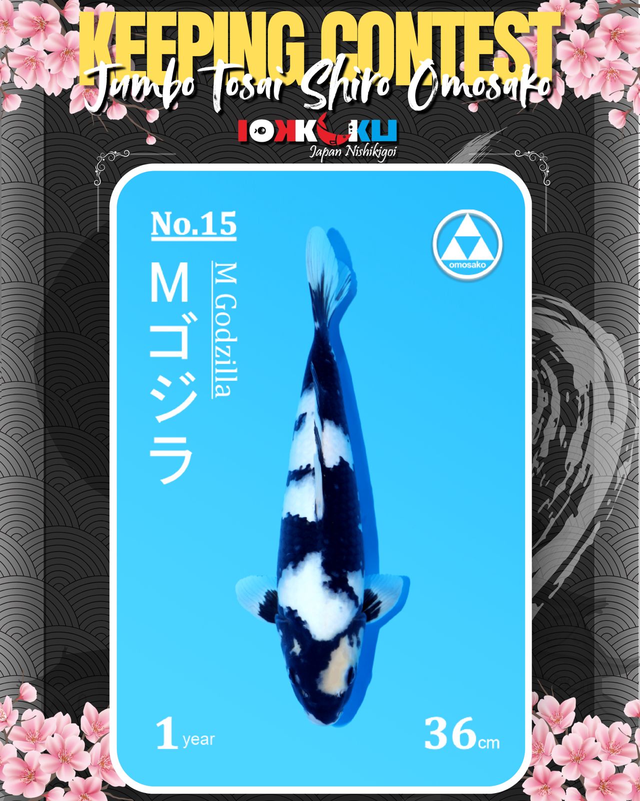 Lelang Koi Online, Jual Beli Ikan Koi, Pusat Jual Beli Koi, Info Lelang Koi Hari Ini, Platform Jual Beli Koi, Jual Beli Ikan Koi Online, Marketplace Ikan Koi, Jual Koi Terbaik, Tempat Beli Koi Berkualitas, Pasar Ikan Koi Online Terpercaya, Penjual Ikan Koi Terpercaya, Beli Koi Hias Online, Ikan Koi untuk Dijual, Koi Kualitas Terbaik, Toko Online Ikan Koi, Koi Hias Untuk Dijual, Jual Beli Ikan Koi Lokal, Koi Indonesia Online, Pusat Jual Beli Koi Terbesar