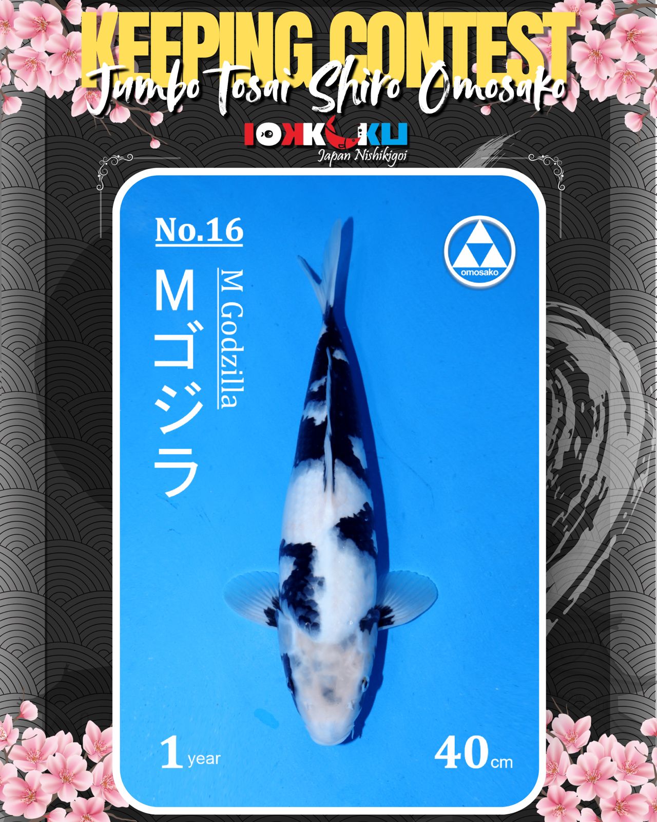 Lelang Koi Online, Jual Beli Ikan Koi, Pusat Jual Beli Koi, Info Lelang Koi Hari Ini, Platform Jual Beli Koi, Jual Beli Ikan Koi Online, Marketplace Ikan Koi, Jual Koi Terbaik, Tempat Beli Koi Berkualitas, Pasar Ikan Koi Online Terpercaya, Penjual Ikan Koi Terpercaya, Beli Koi Hias Online, Ikan Koi untuk Dijual, Koi Kualitas Terbaik, Toko Online Ikan Koi, Koi Hias Untuk Dijual, Jual Beli Ikan Koi Lokal, Koi Indonesia Online, Pusat Jual Beli Koi Terbesar