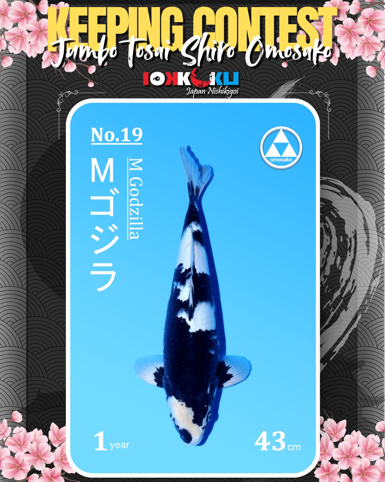 Lelang Koi Online, Jual Beli Ikan Koi, Pusat Jual Beli Koi, Info Lelang Koi Hari Ini, Platform Jual Beli Koi, Jual Beli Ikan Koi Online, Marketplace Ikan Koi, Jual Koi Terbaik, Tempat Beli Koi Berkualitas, Pasar Ikan Koi Online Terpercaya, Penjual Ikan Koi Terpercaya, Beli Koi Hias Online, Ikan Koi untuk Dijual, Koi Kualitas Terbaik, Toko Online Ikan Koi, Koi Hias Untuk Dijual, Jual Beli Ikan Koi Lokal, Koi Indonesia Online, Pusat Jual Beli Koi Terbesar