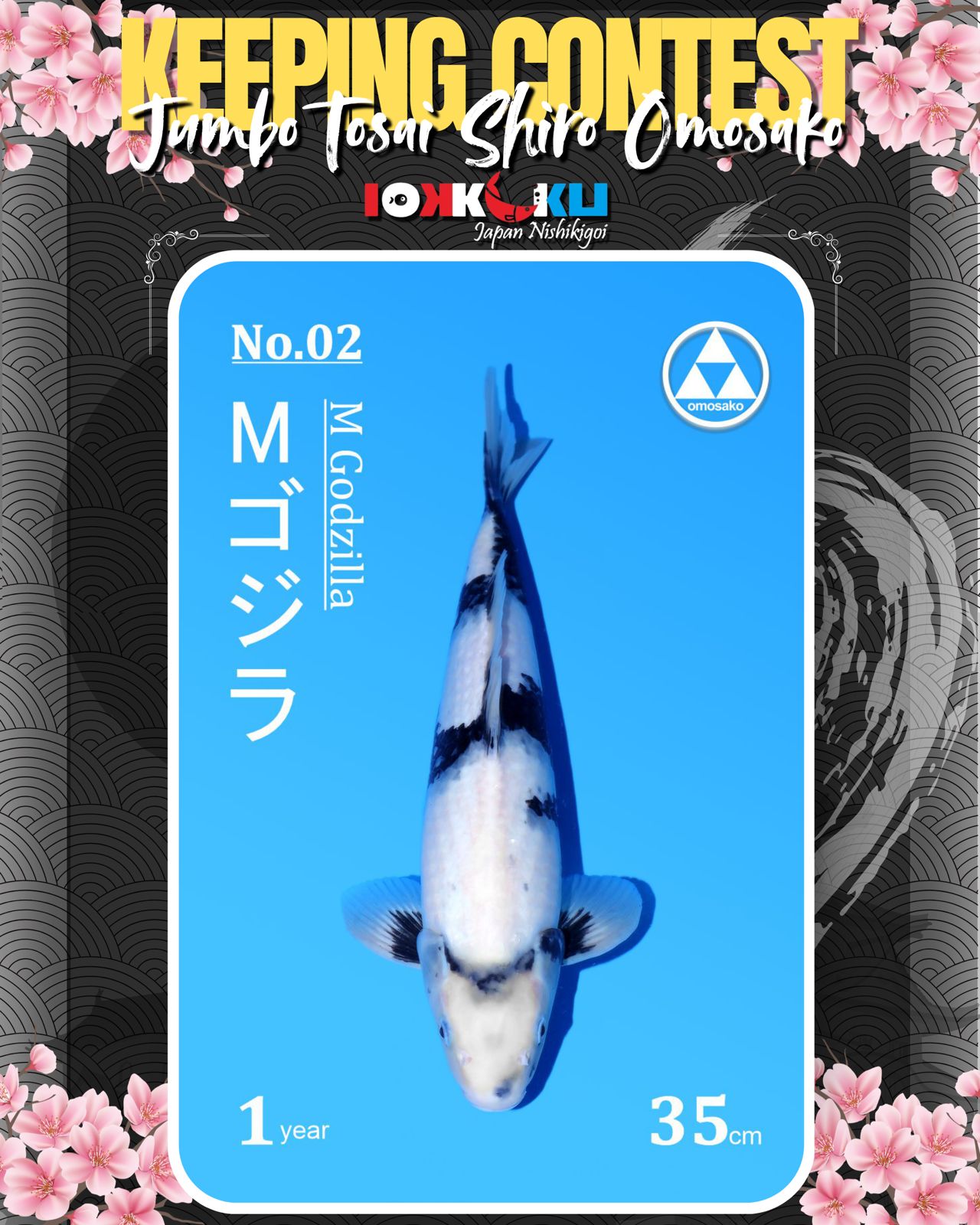 Lelang Koi Online, Jual Beli Ikan Koi, Pusat Jual Beli Koi, Info Lelang Koi Hari Ini, Platform Jual Beli Koi, Jual Beli Ikan Koi Online, Marketplace Ikan Koi, Jual Koi Terbaik, Tempat Beli Koi Berkualitas, Pasar Ikan Koi Online Terpercaya, Penjual Ikan Koi Terpercaya, Beli Koi Hias Online, Ikan Koi untuk Dijual, Koi Kualitas Terbaik, Toko Online Ikan Koi, Koi Hias Untuk Dijual, Jual Beli Ikan Koi Lokal, Koi Indonesia Online, Pusat Jual Beli Koi Terbesar