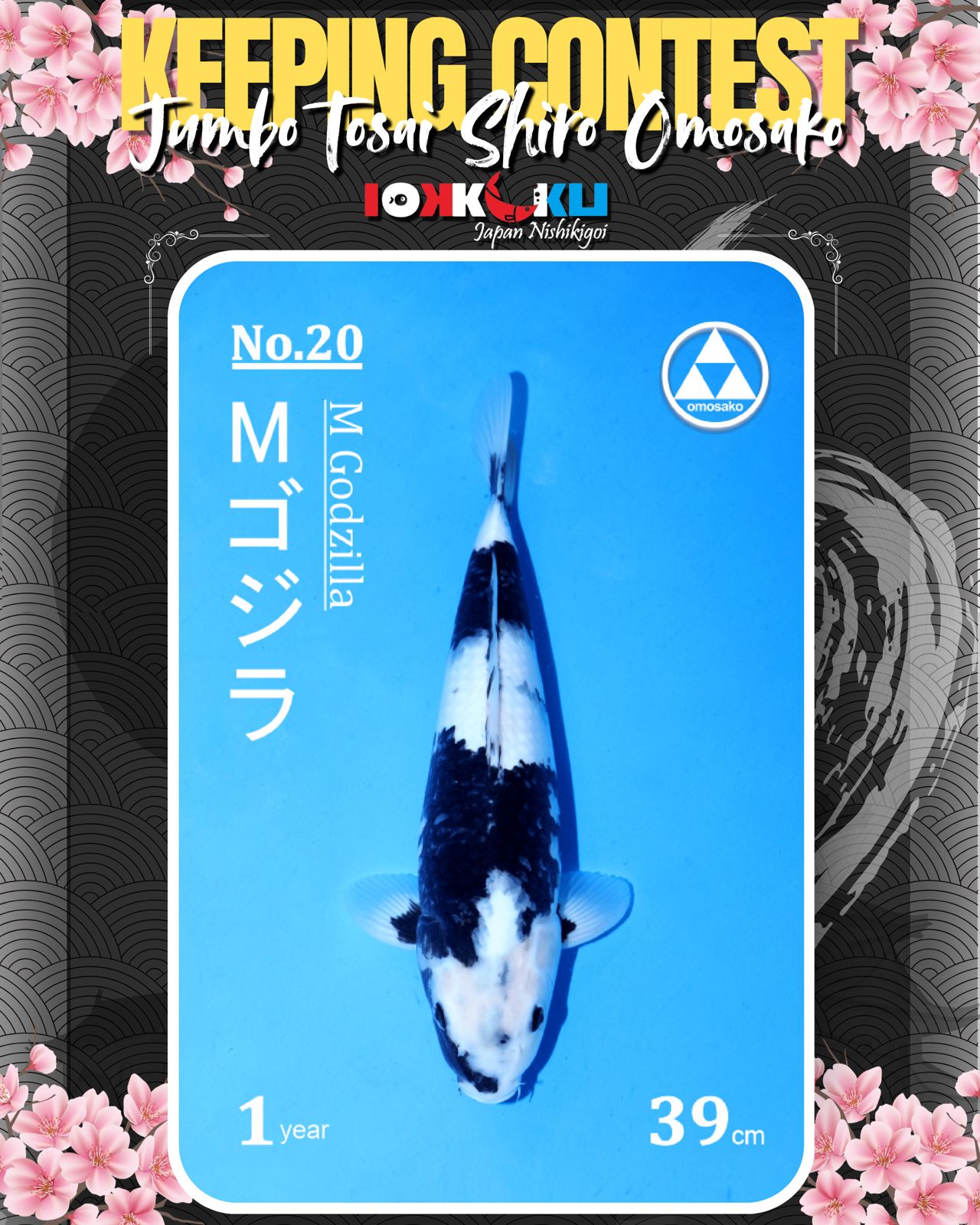Lelang Koi Online, Jual Beli Ikan Koi, Pusat Jual Beli Koi, Info Lelang Koi Hari Ini, Platform Jual Beli Koi, Jual Beli Ikan Koi Online, Marketplace Ikan Koi, Jual Koi Terbaik, Tempat Beli Koi Berkualitas, Pasar Ikan Koi Online Terpercaya, Penjual Ikan Koi Terpercaya, Beli Koi Hias Online, Ikan Koi untuk Dijual, Koi Kualitas Terbaik, Toko Online Ikan Koi, Koi Hias Untuk Dijual, Jual Beli Ikan Koi Lokal, Koi Indonesia Online, Pusat Jual Beli Koi Terbesar