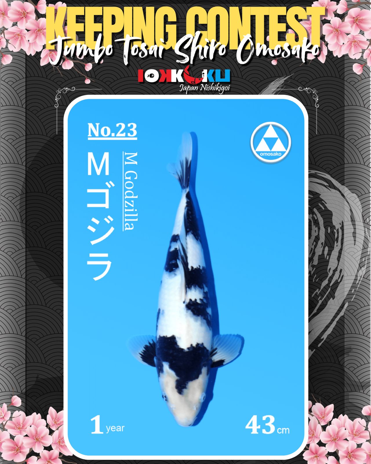 Lelang Koi Online, Jual Beli Ikan Koi, Pusat Jual Beli Koi, Info Lelang Koi Hari Ini, Platform Jual Beli Koi, Jual Beli Ikan Koi Online, Marketplace Ikan Koi, Jual Koi Terbaik, Tempat Beli Koi Berkualitas, Pasar Ikan Koi Online Terpercaya, Penjual Ikan Koi Terpercaya, Beli Koi Hias Online, Ikan Koi untuk Dijual, Koi Kualitas Terbaik, Toko Online Ikan Koi, Koi Hias Untuk Dijual, Jual Beli Ikan Koi Lokal, Koi Indonesia Online, Pusat Jual Beli Koi Terbesar