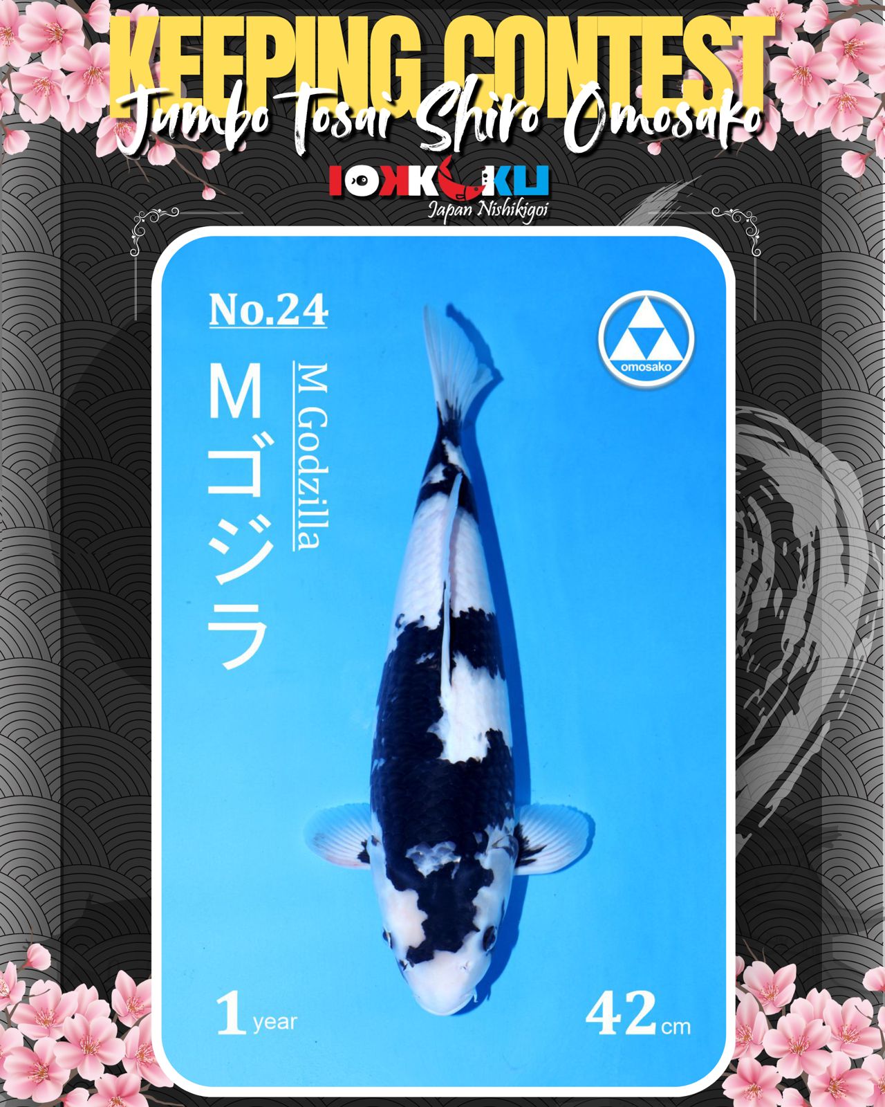 Lelang Koi Online, Jual Beli Ikan Koi, Pusat Jual Beli Koi, Info Lelang Koi Hari Ini, Platform Jual Beli Koi, Jual Beli Ikan Koi Online, Marketplace Ikan Koi, Jual Koi Terbaik, Tempat Beli Koi Berkualitas, Pasar Ikan Koi Online Terpercaya, Penjual Ikan Koi Terpercaya, Beli Koi Hias Online, Ikan Koi untuk Dijual, Koi Kualitas Terbaik, Toko Online Ikan Koi, Koi Hias Untuk Dijual, Jual Beli Ikan Koi Lokal, Koi Indonesia Online, Pusat Jual Beli Koi Terbesar