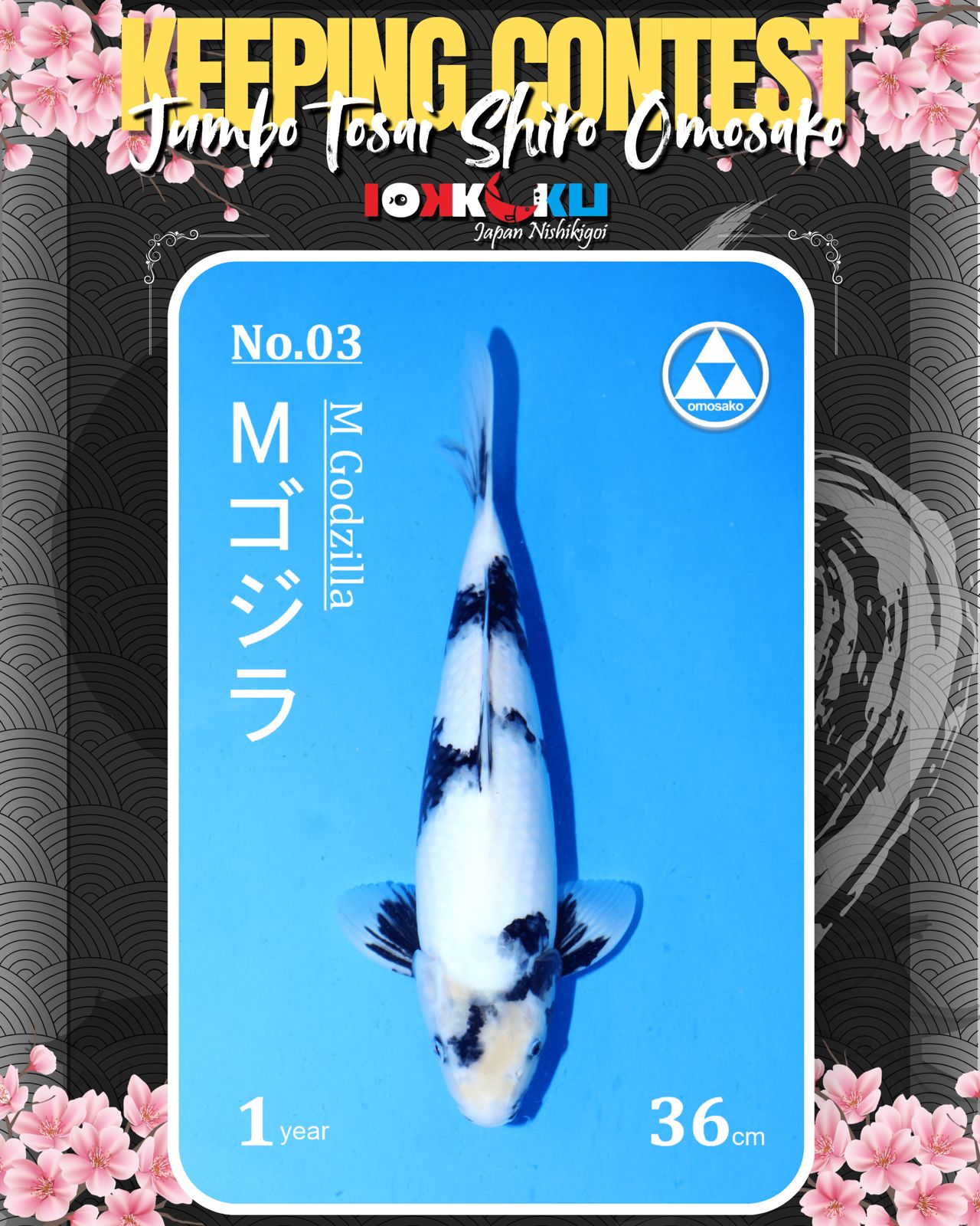 Lelang Koi Online, Jual Beli Ikan Koi, Pusat Jual Beli Koi, Info Lelang Koi Hari Ini, Platform Jual Beli Koi, Jual Beli Ikan Koi Online, Marketplace Ikan Koi, Jual Koi Terbaik, Tempat Beli Koi Berkualitas, Pasar Ikan Koi Online Terpercaya, Penjual Ikan Koi Terpercaya, Beli Koi Hias Online, Ikan Koi untuk Dijual, Koi Kualitas Terbaik, Toko Online Ikan Koi, Koi Hias Untuk Dijual, Jual Beli Ikan Koi Lokal, Koi Indonesia Online, Pusat Jual Beli Koi Terbesar