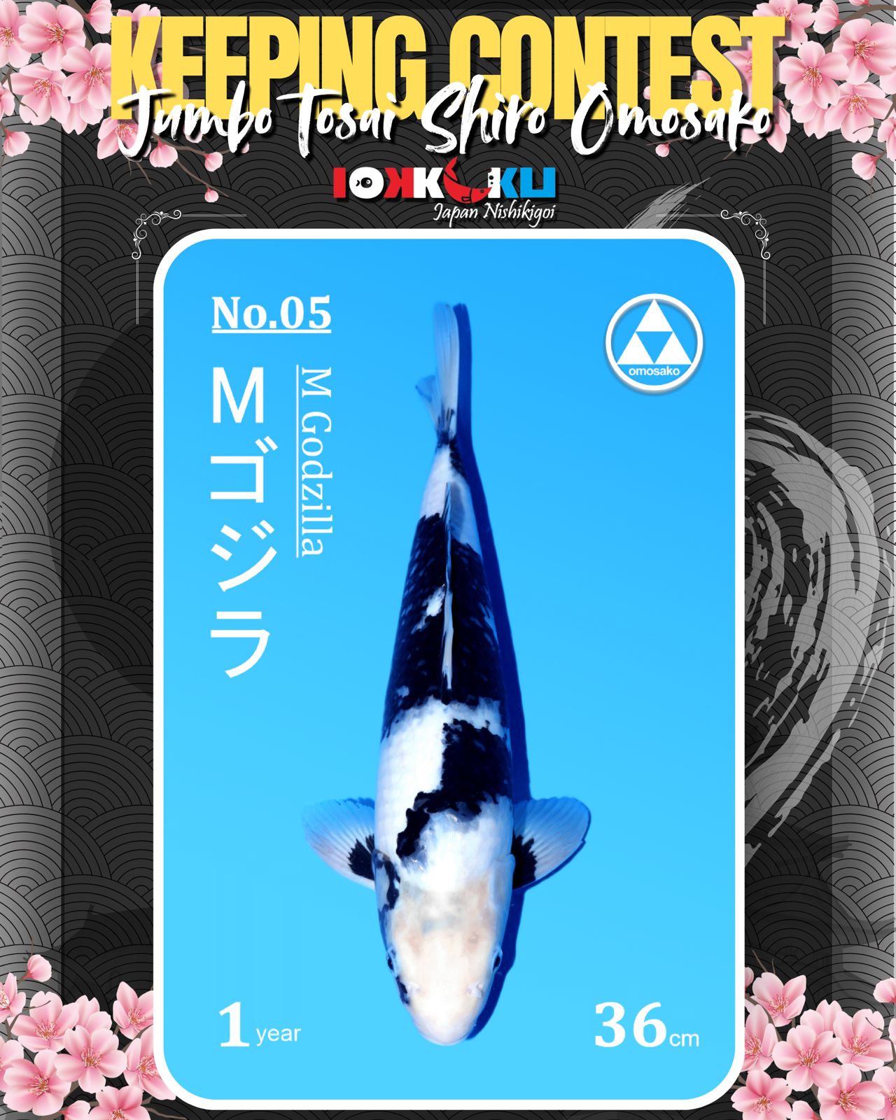 Lelang Koi Online, Jual Beli Ikan Koi, Pusat Jual Beli Koi, Info Lelang Koi Hari Ini, Platform Jual Beli Koi, Jual Beli Ikan Koi Online, Marketplace Ikan Koi, Jual Koi Terbaik, Tempat Beli Koi Berkualitas, Pasar Ikan Koi Online Terpercaya, Penjual Ikan Koi Terpercaya, Beli Koi Hias Online, Ikan Koi untuk Dijual, Koi Kualitas Terbaik, Toko Online Ikan Koi, Koi Hias Untuk Dijual, Jual Beli Ikan Koi Lokal, Koi Indonesia Online, Pusat Jual Beli Koi Terbesar