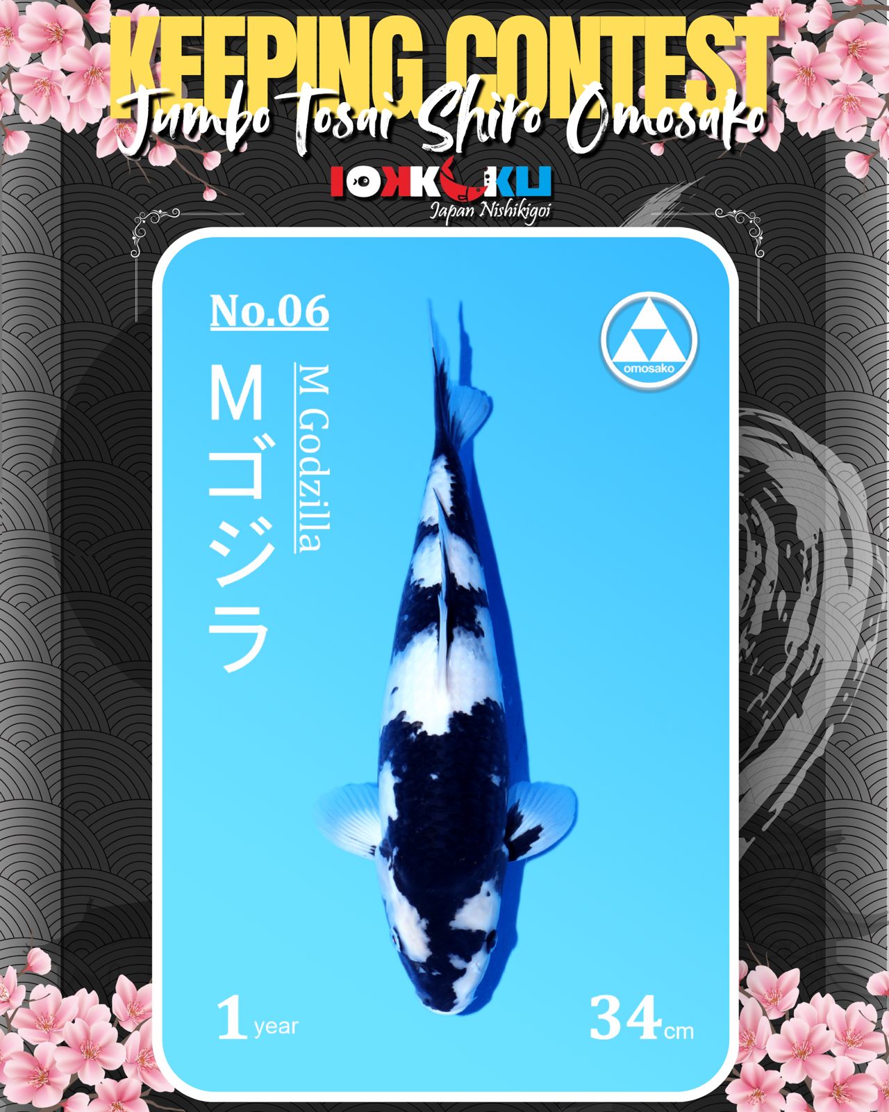 Lelang Koi Online, Jual Beli Ikan Koi, Pusat Jual Beli Koi, Info Lelang Koi Hari Ini, Platform Jual Beli Koi, Jual Beli Ikan Koi Online, Marketplace Ikan Koi, Jual Koi Terbaik, Tempat Beli Koi Berkualitas, Pasar Ikan Koi Online Terpercaya, Penjual Ikan Koi Terpercaya, Beli Koi Hias Online, Ikan Koi untuk Dijual, Koi Kualitas Terbaik, Toko Online Ikan Koi, Koi Hias Untuk Dijual, Jual Beli Ikan Koi Lokal, Koi Indonesia Online, Pusat Jual Beli Koi Terbesar
